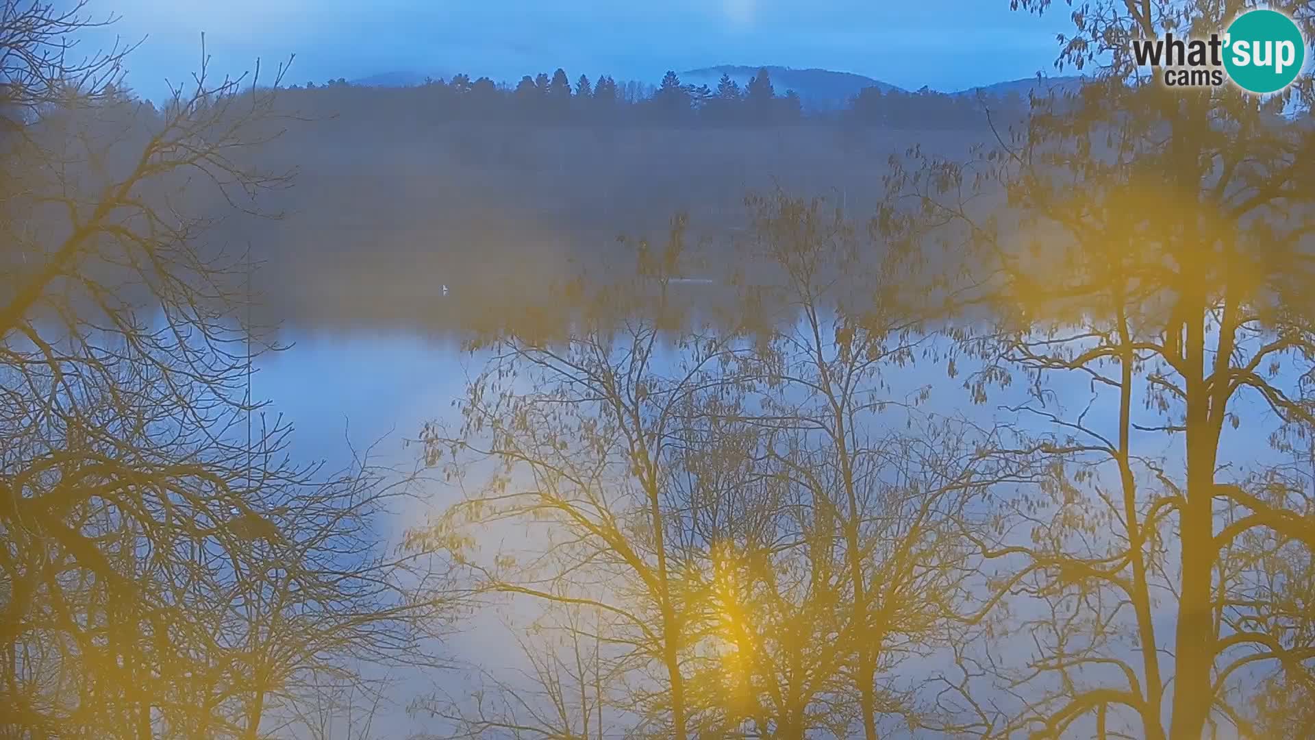 Live Webcam Kočevje lake