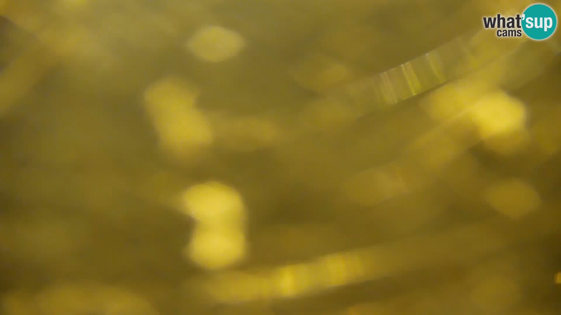 Camera en vivo Lago Kočevje