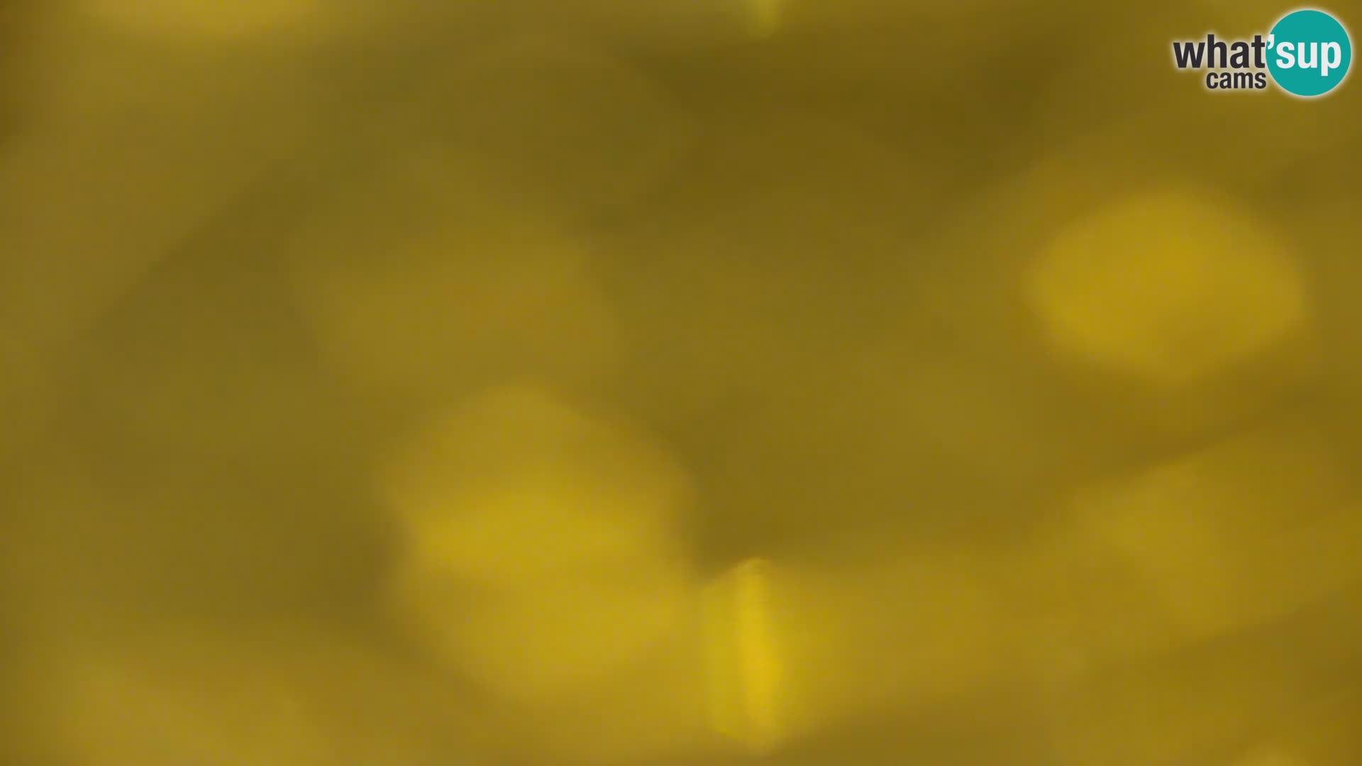 Livecam Lac Kočevje