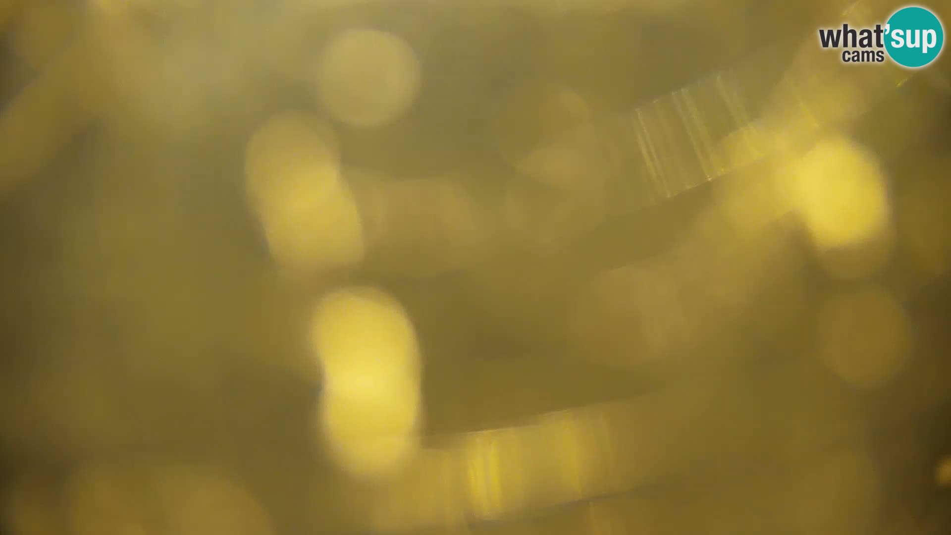 Livecam Lac Kočevje