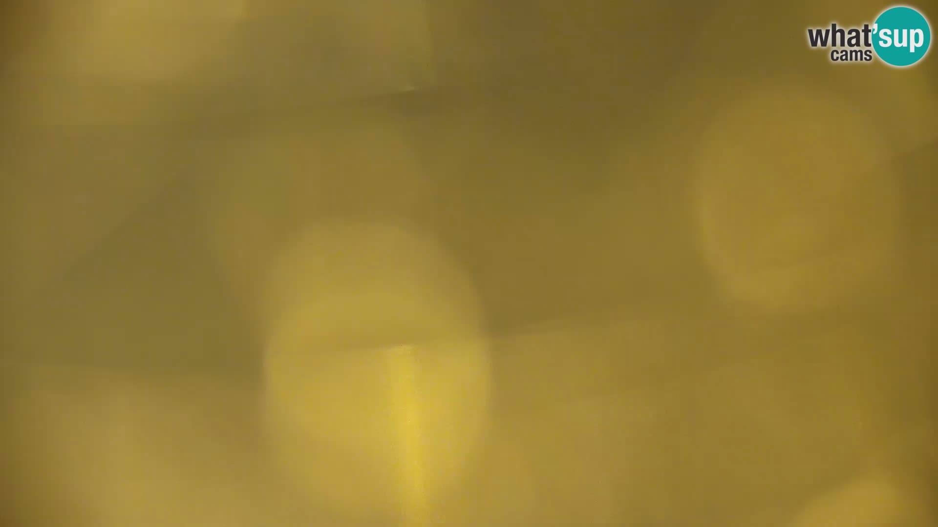 Camera en vivo Lago Kočevje