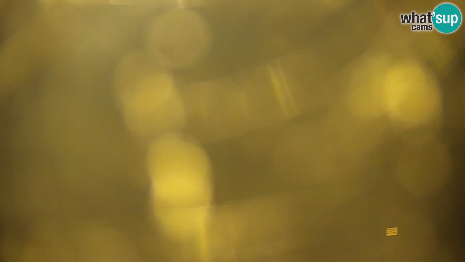 Live Webcam Kočevje-See – Slowenien