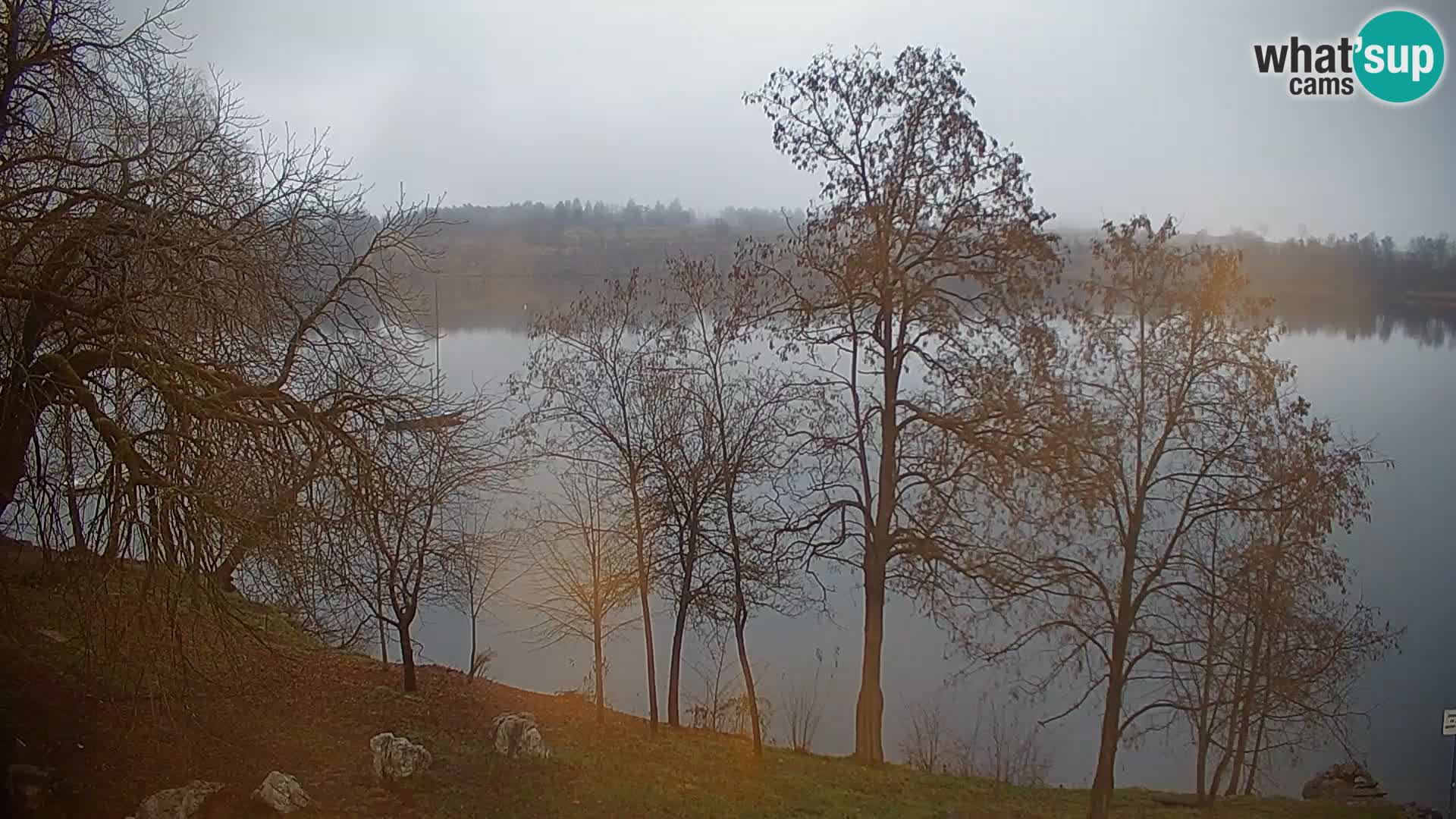 Live Webcam Kočevje lake