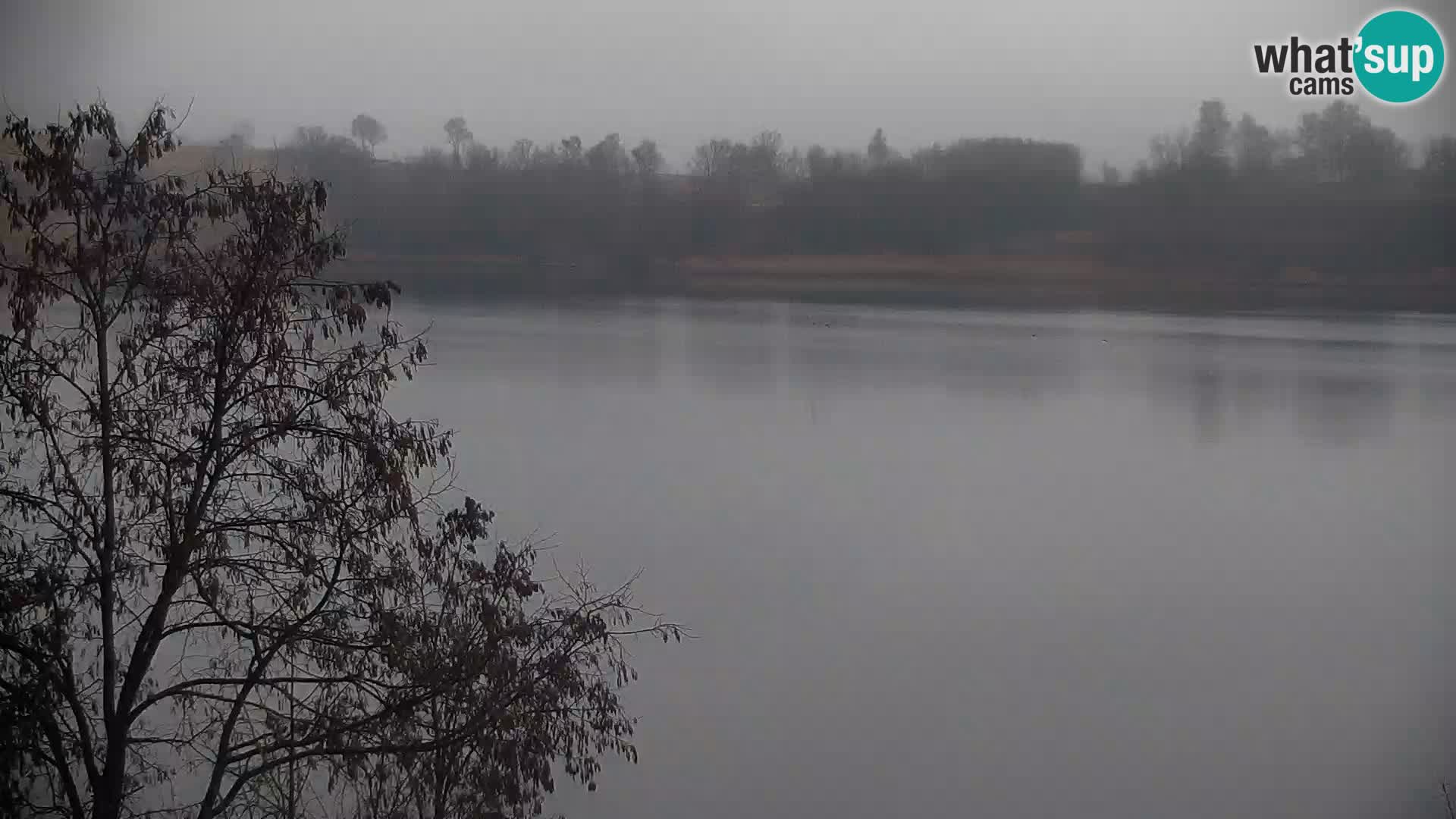 Live Webcam lago di Kočevje – Slovenia