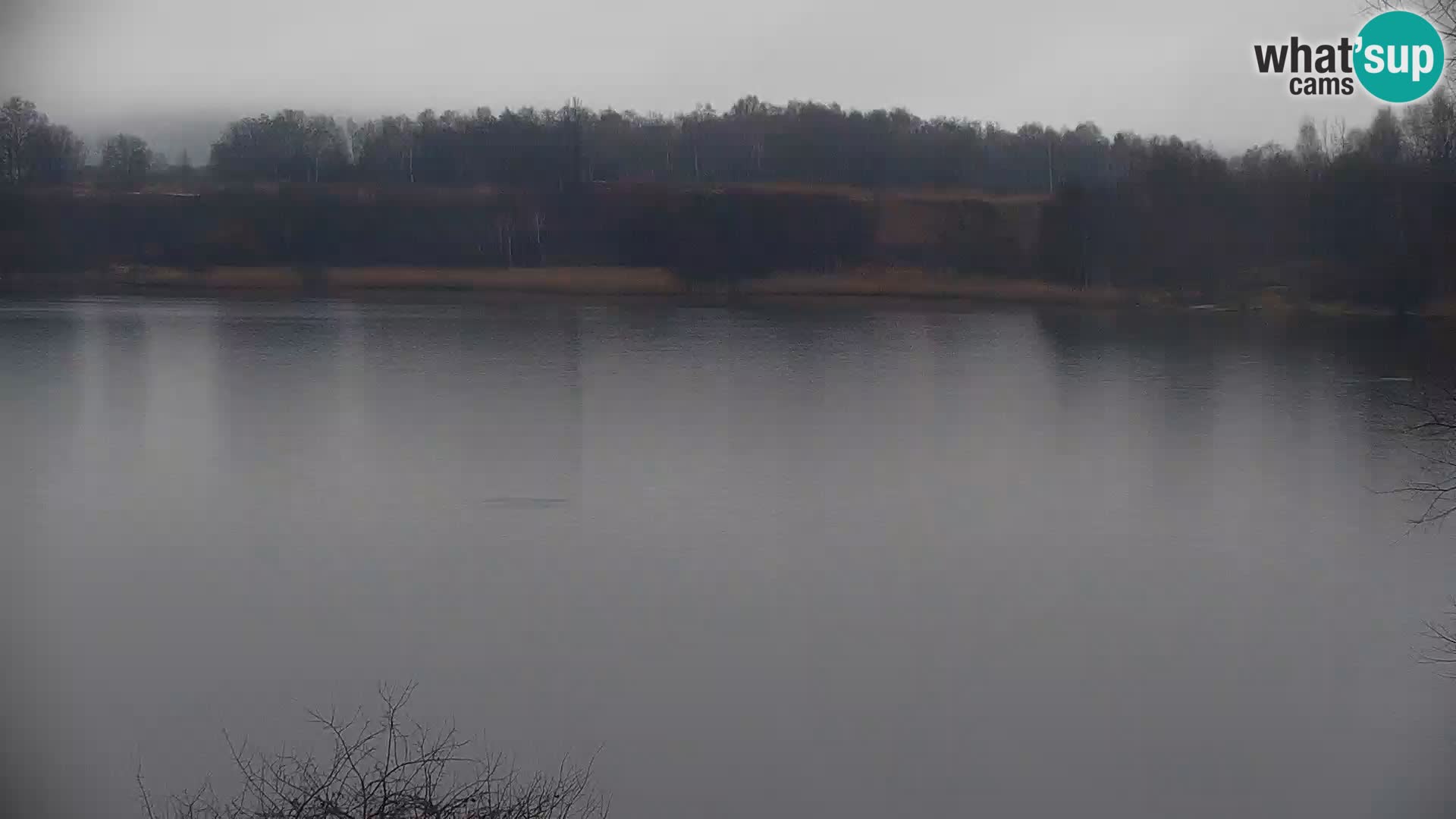 Live Webcam Kočevje lake