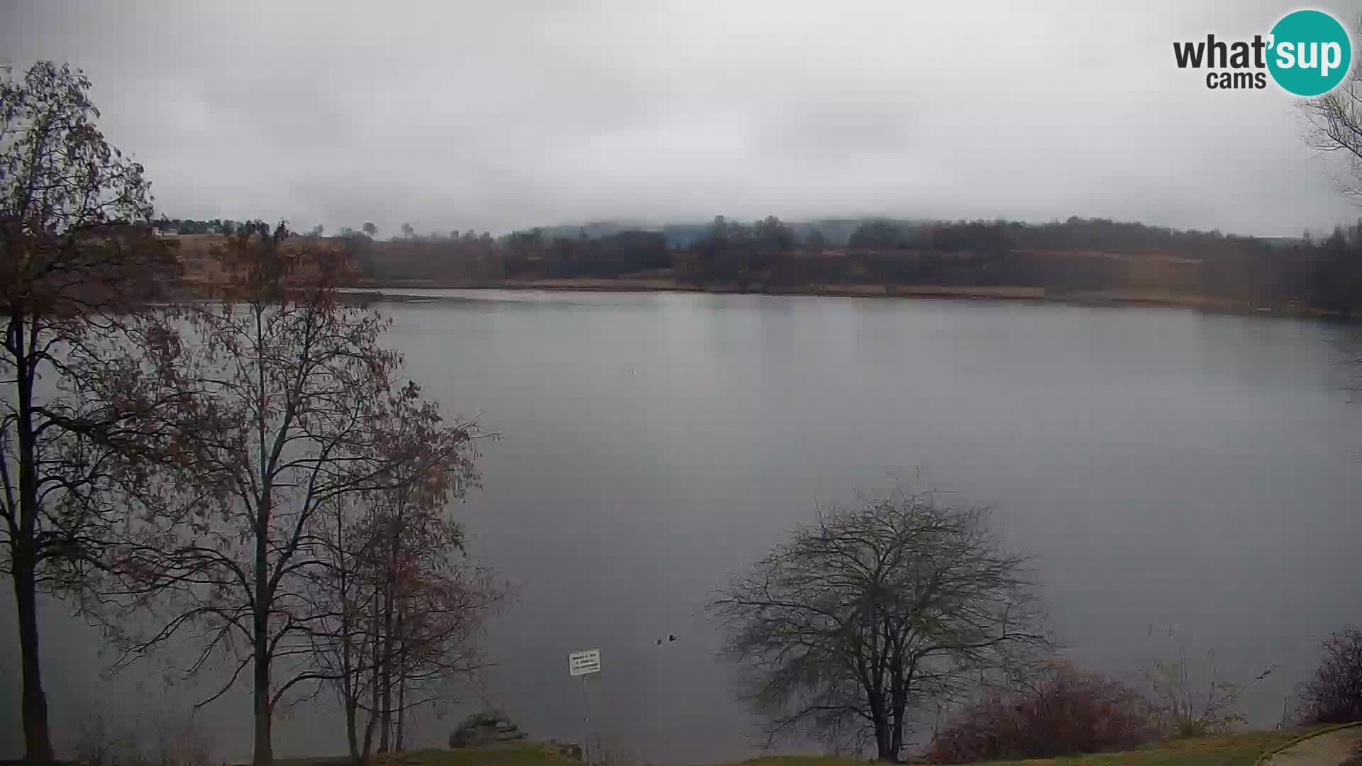 Livecam Lac Kočevje