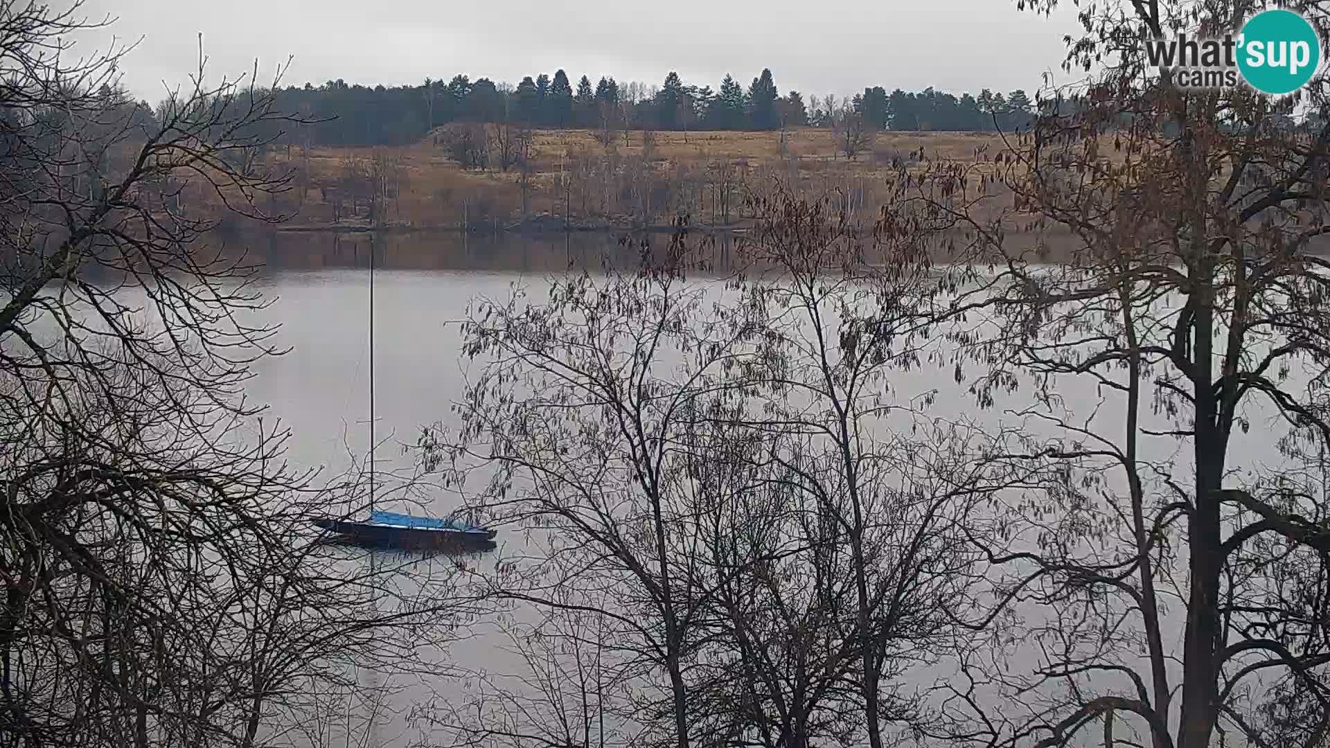 Camera en vivo Lago Kočevje