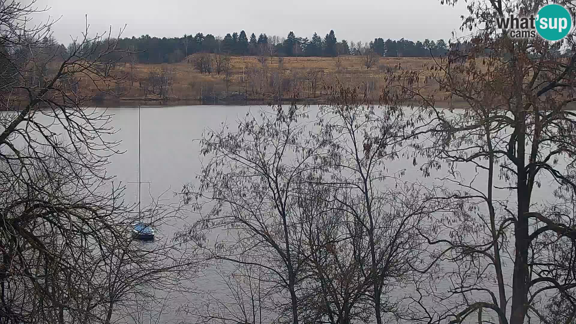Camera en vivo Lago Kočevje