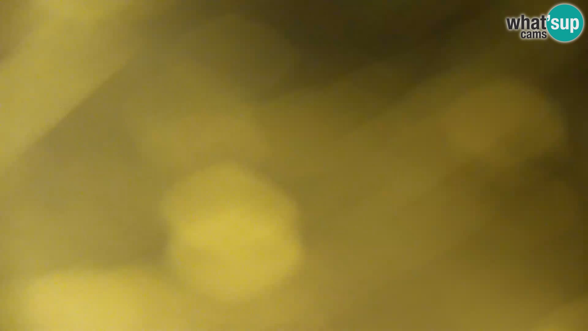 Livecam Lac Kočevje