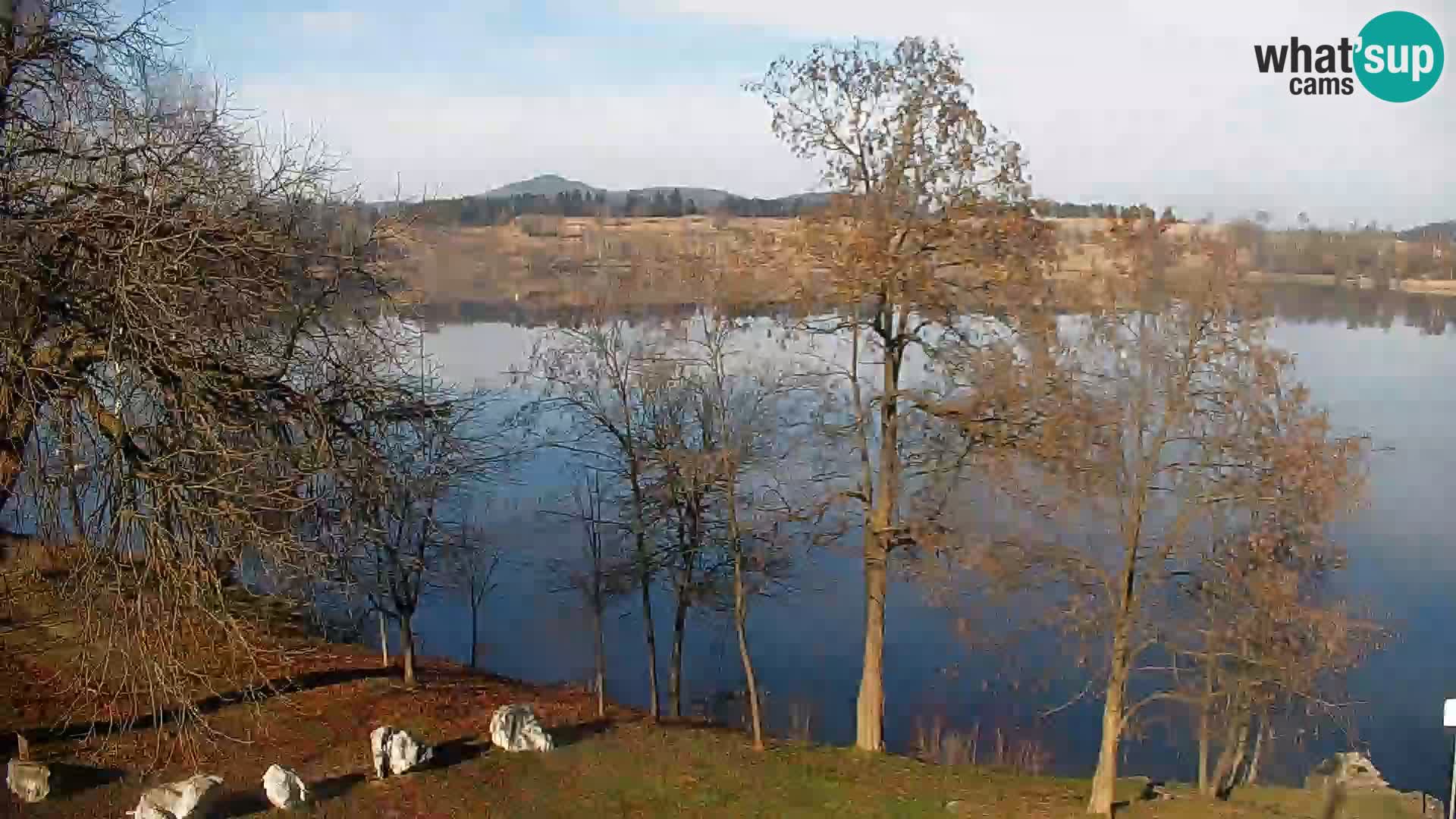 Live Webcam Kočevje lake