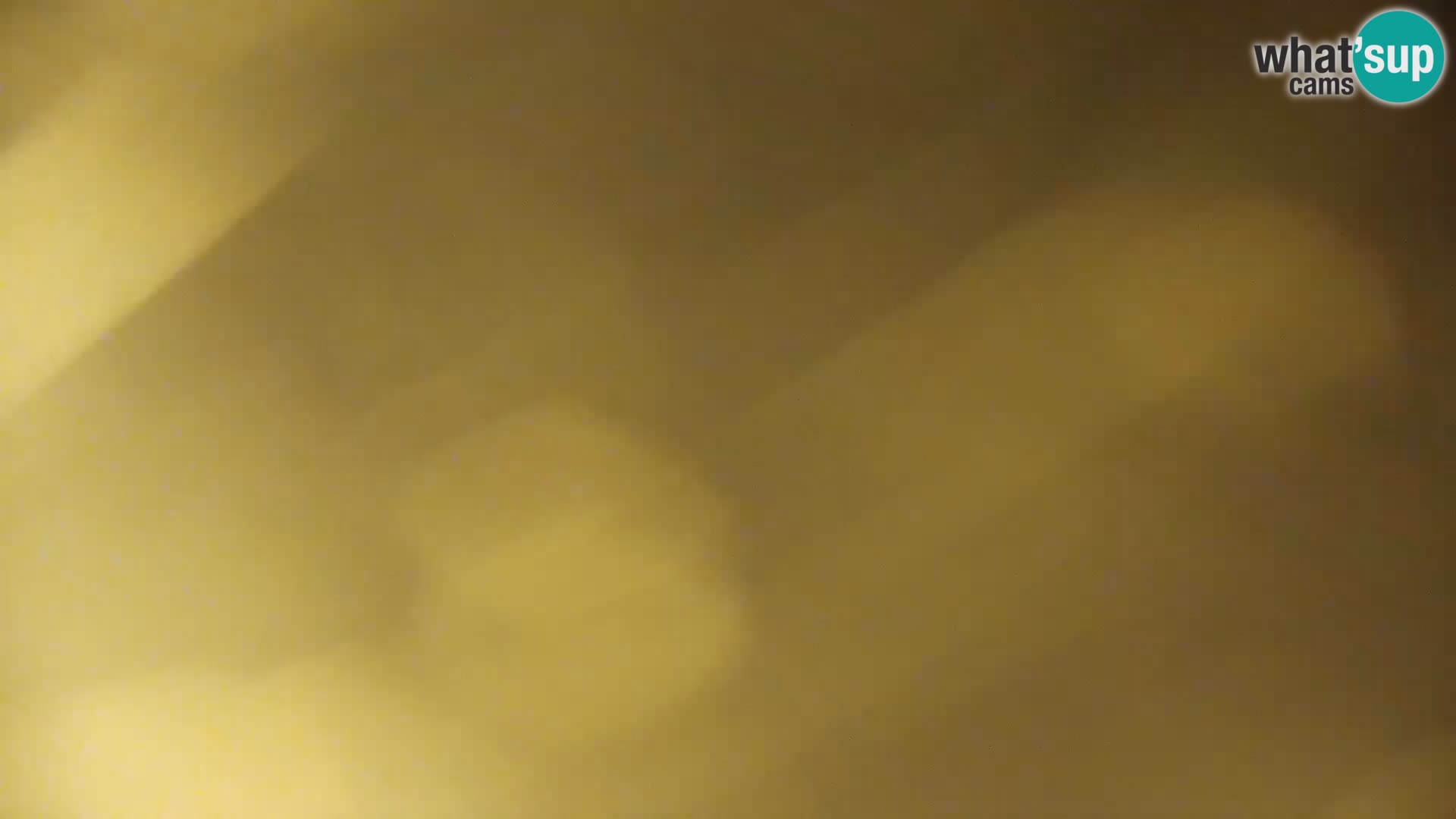 Camera en vivo Lago Kočevje