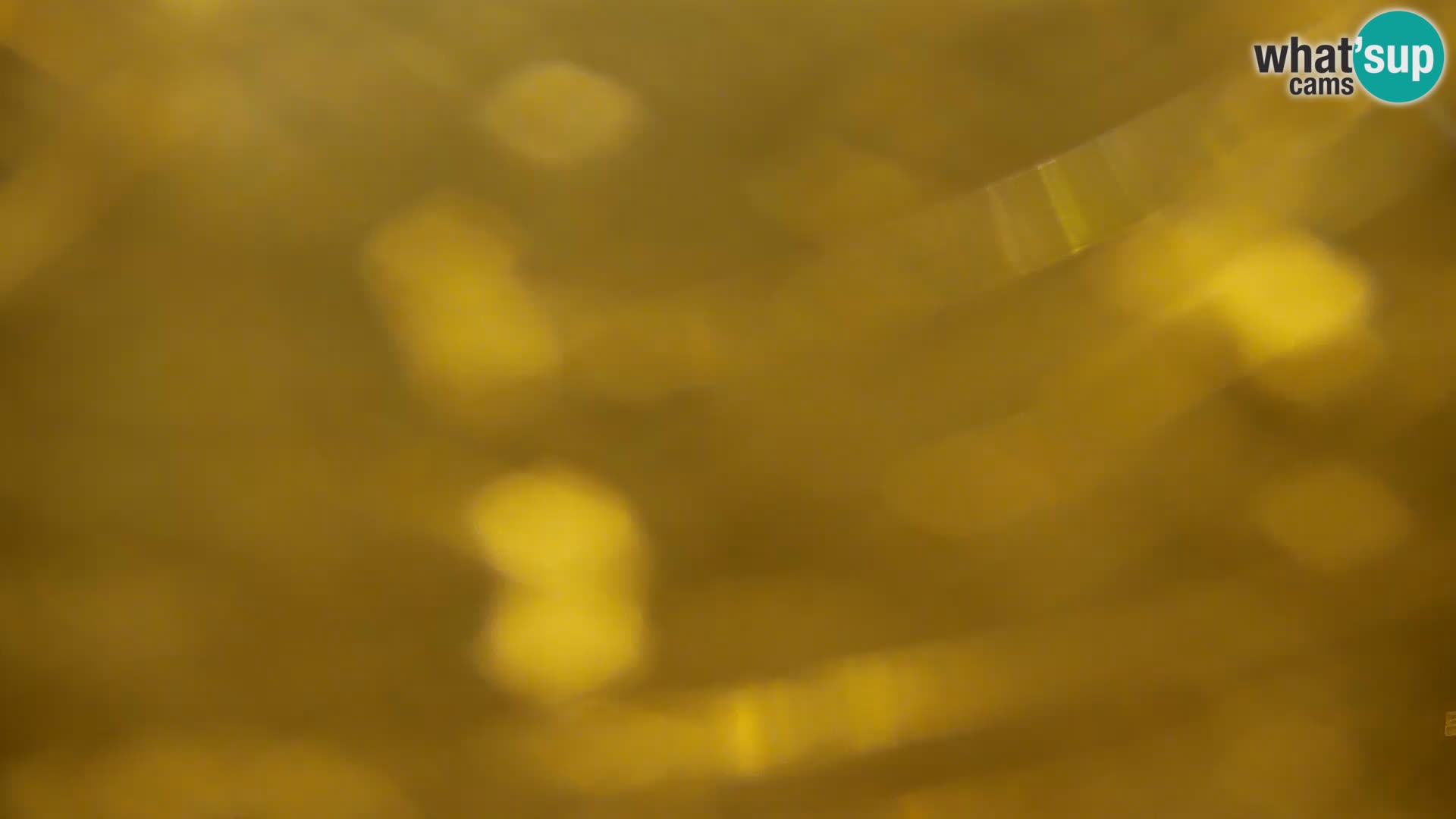 Web kamera Kočevje jezero – Slovenija