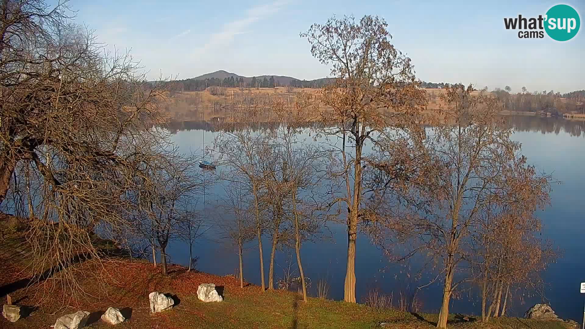 Camera en vivo Lago Kočevje