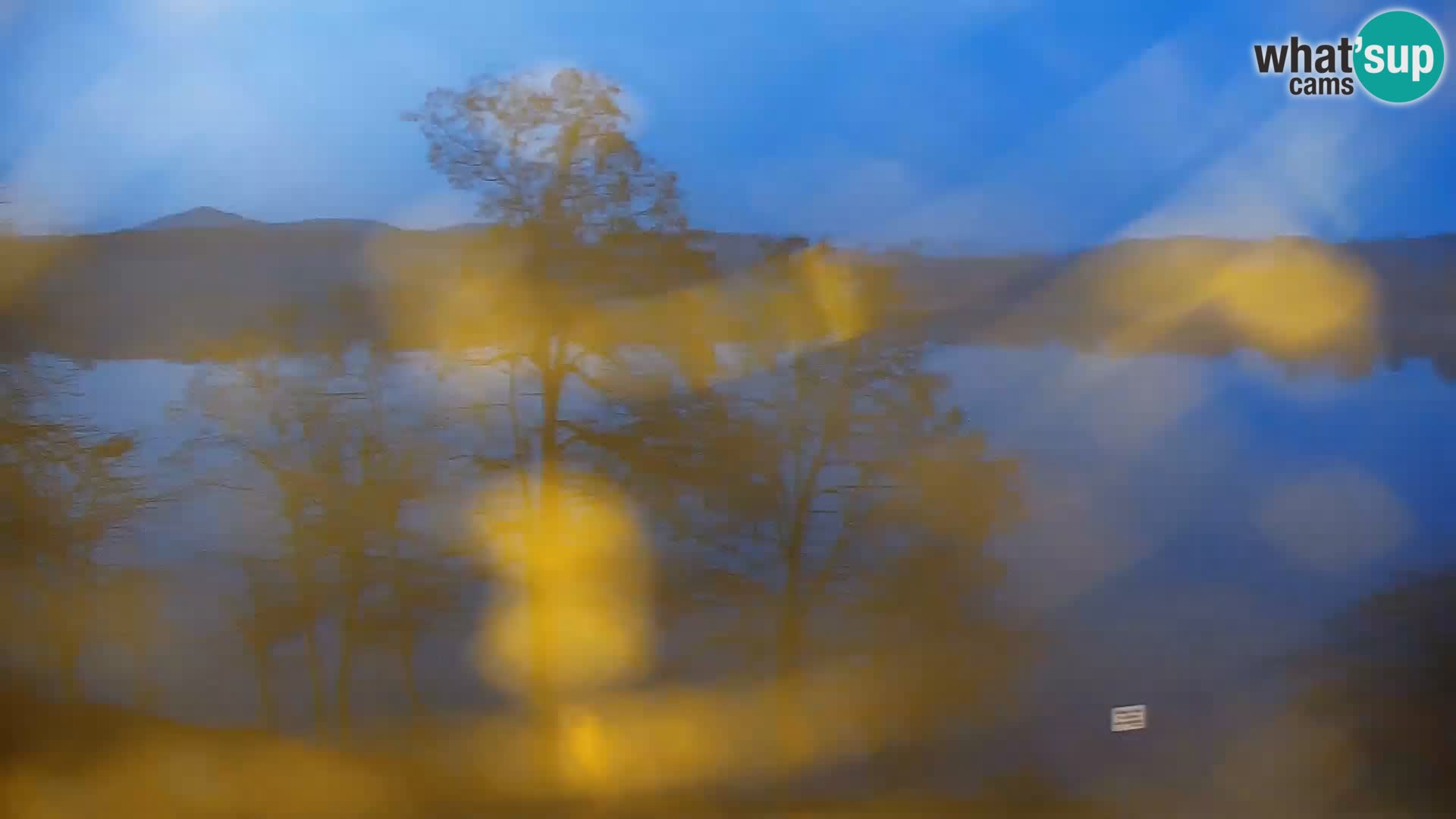 Live Webcam Kočevje lake