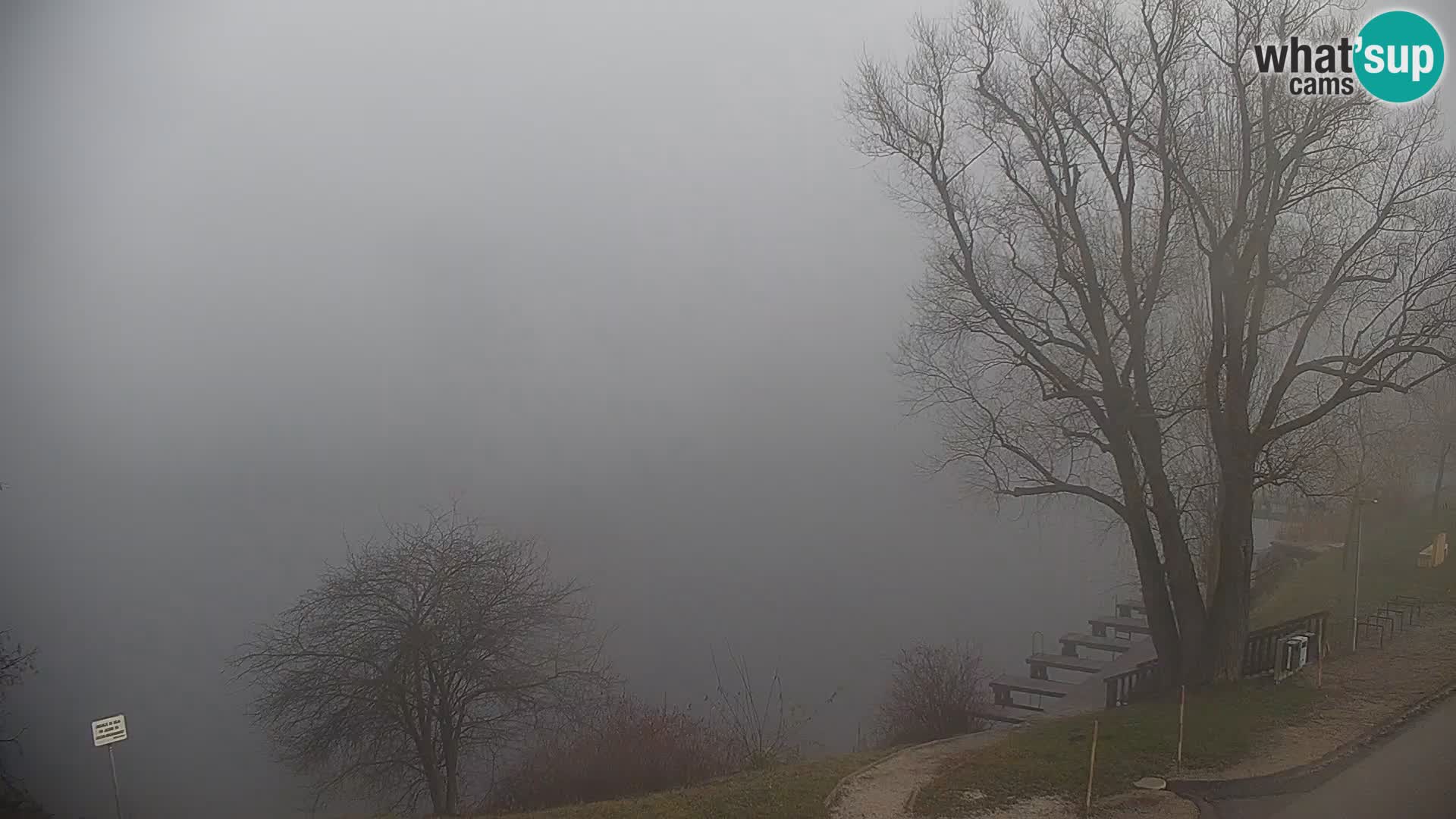 Live Webcam lago di Kočevje – Slovenia