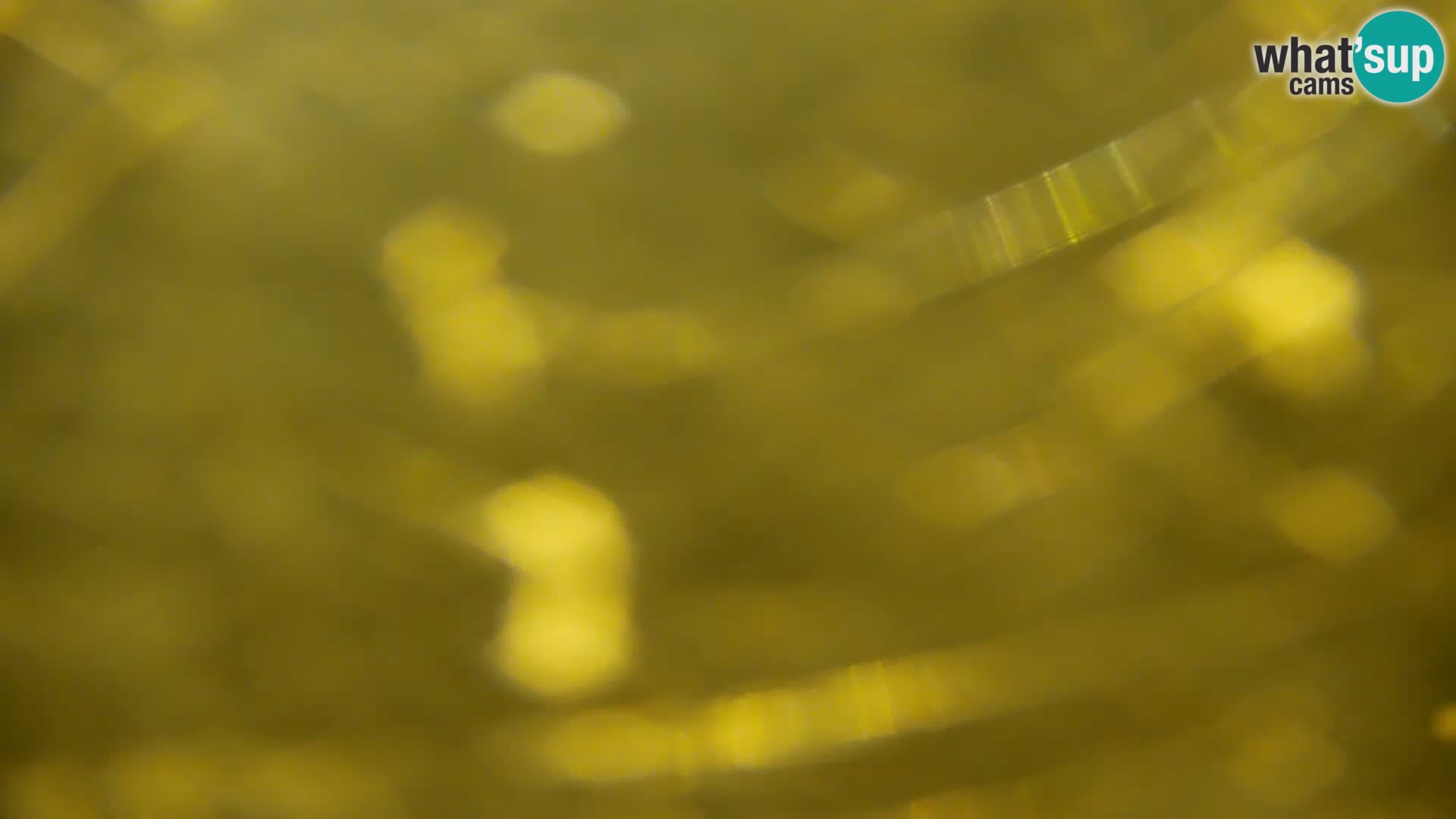 Web kamera Kočevje jezero – Slovenija