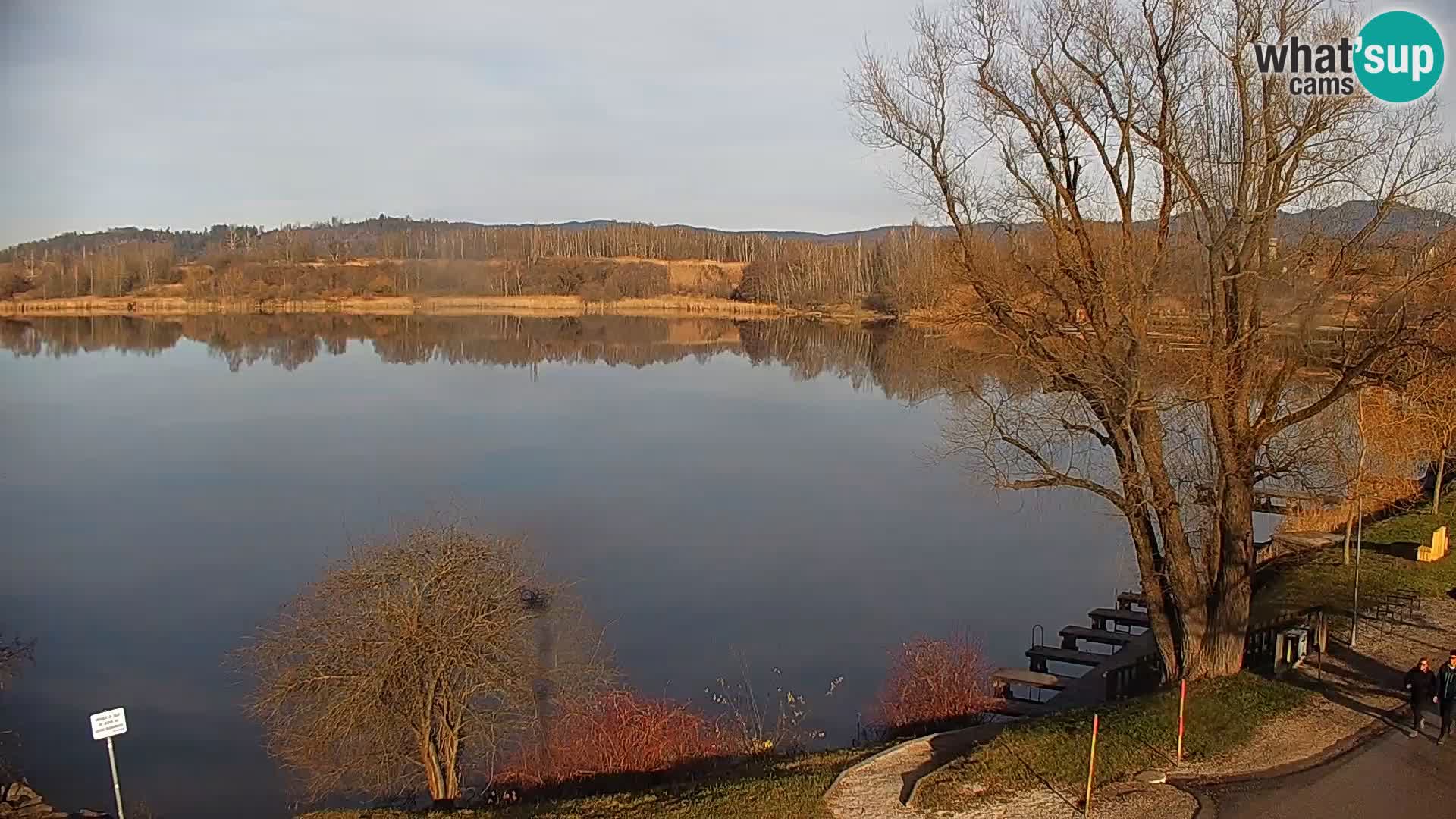 Web kamera Kočevje jezero – Slovenija