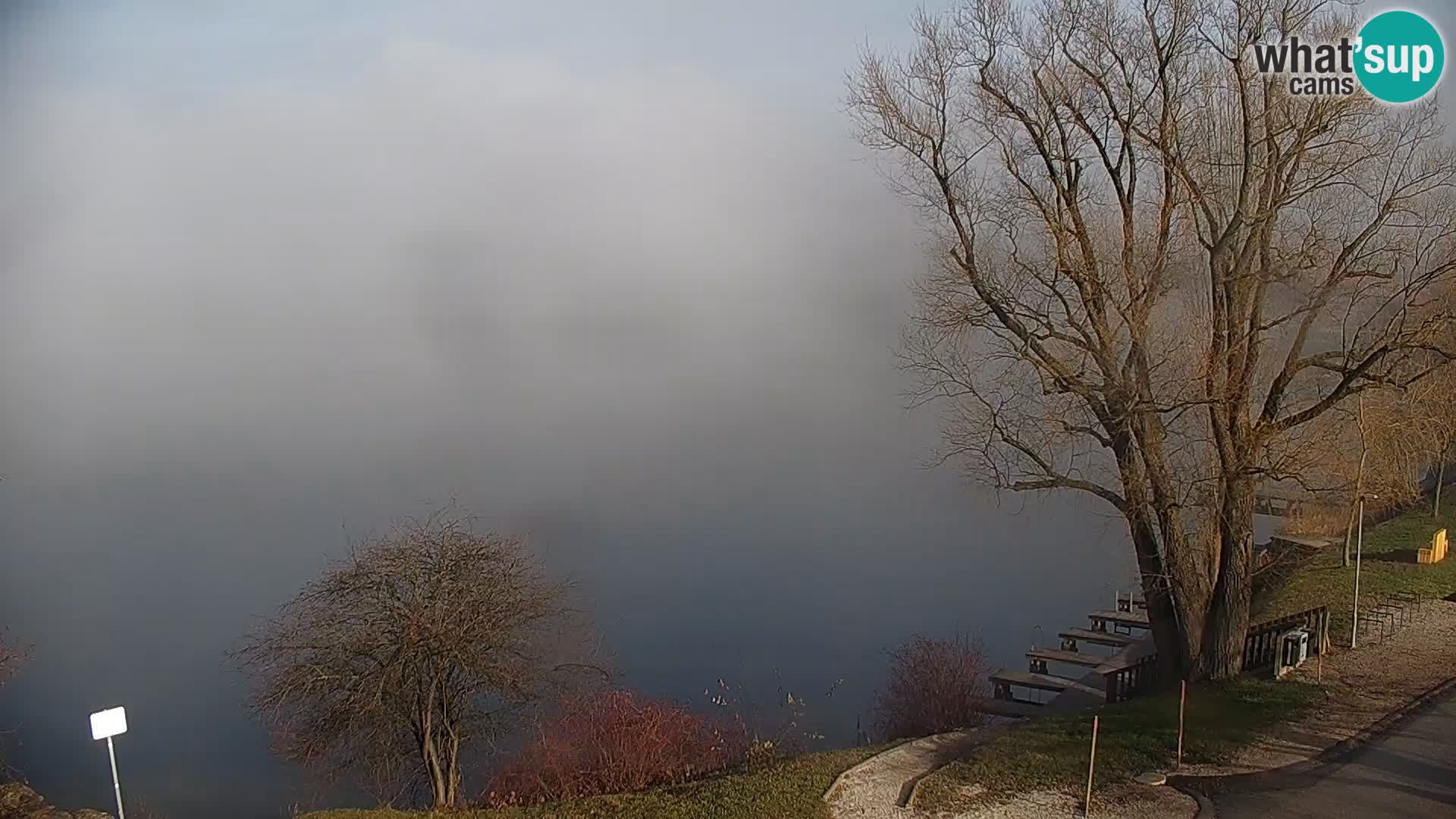 Camera en vivo Lago Kočevje