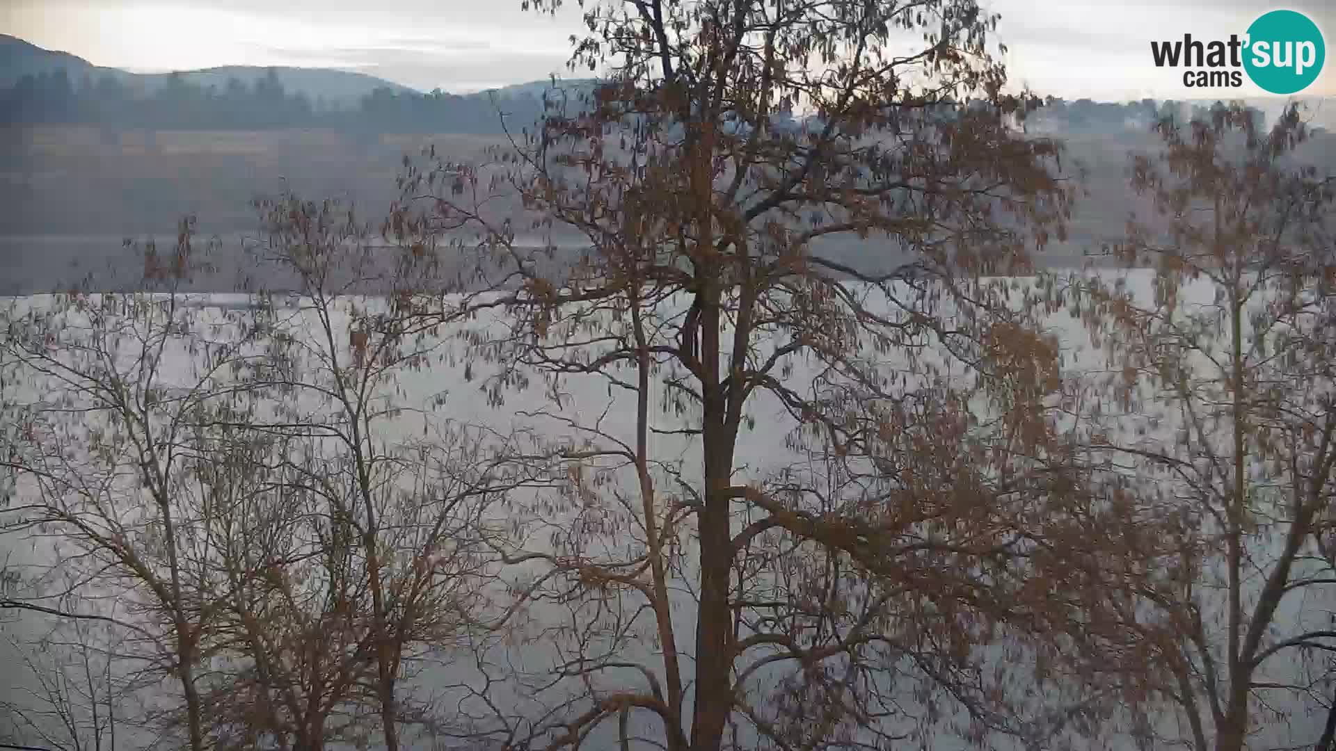 Live Webcam Kočevje-See – Slowenien