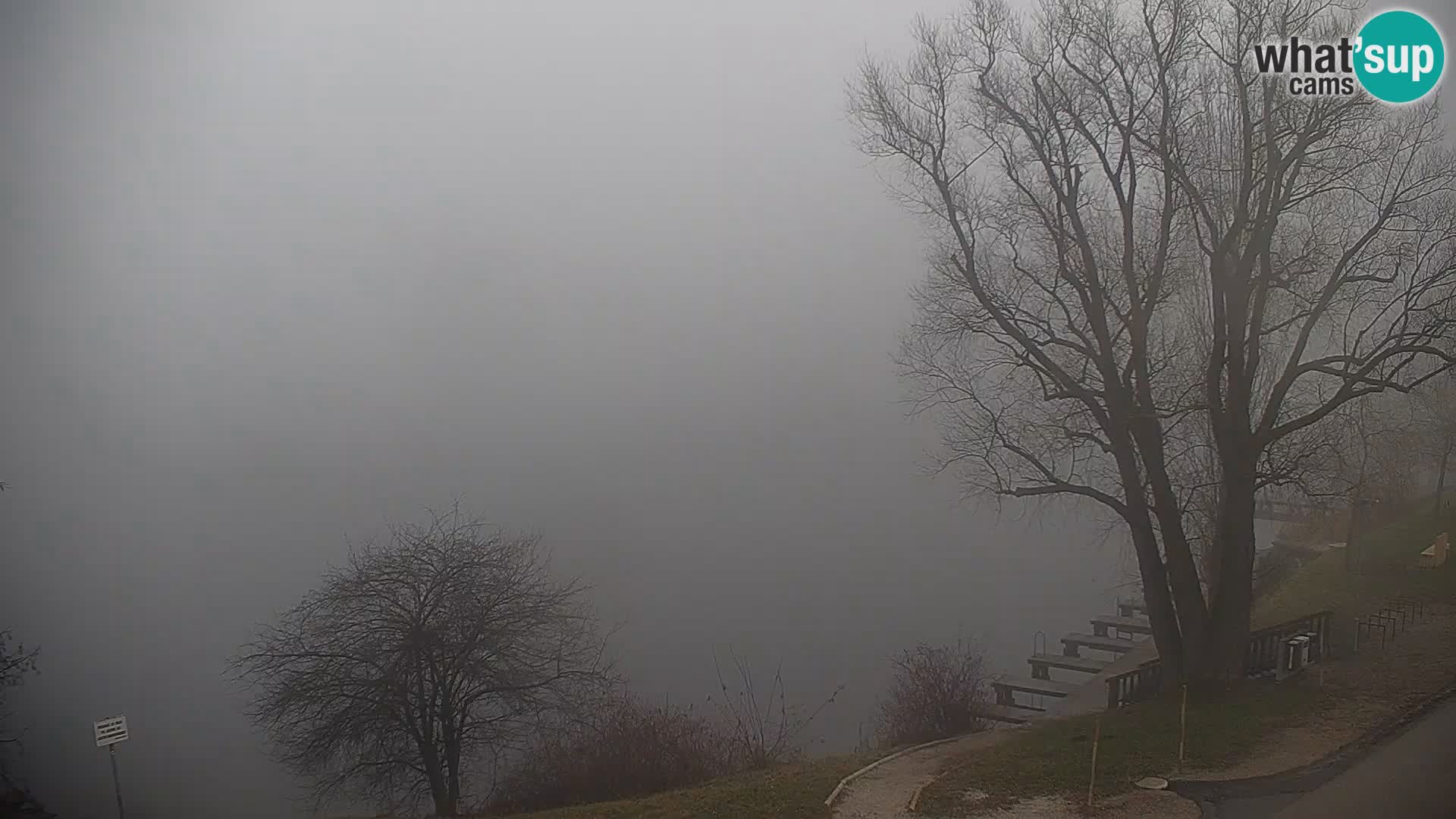 Camera en vivo Lago Kočevje