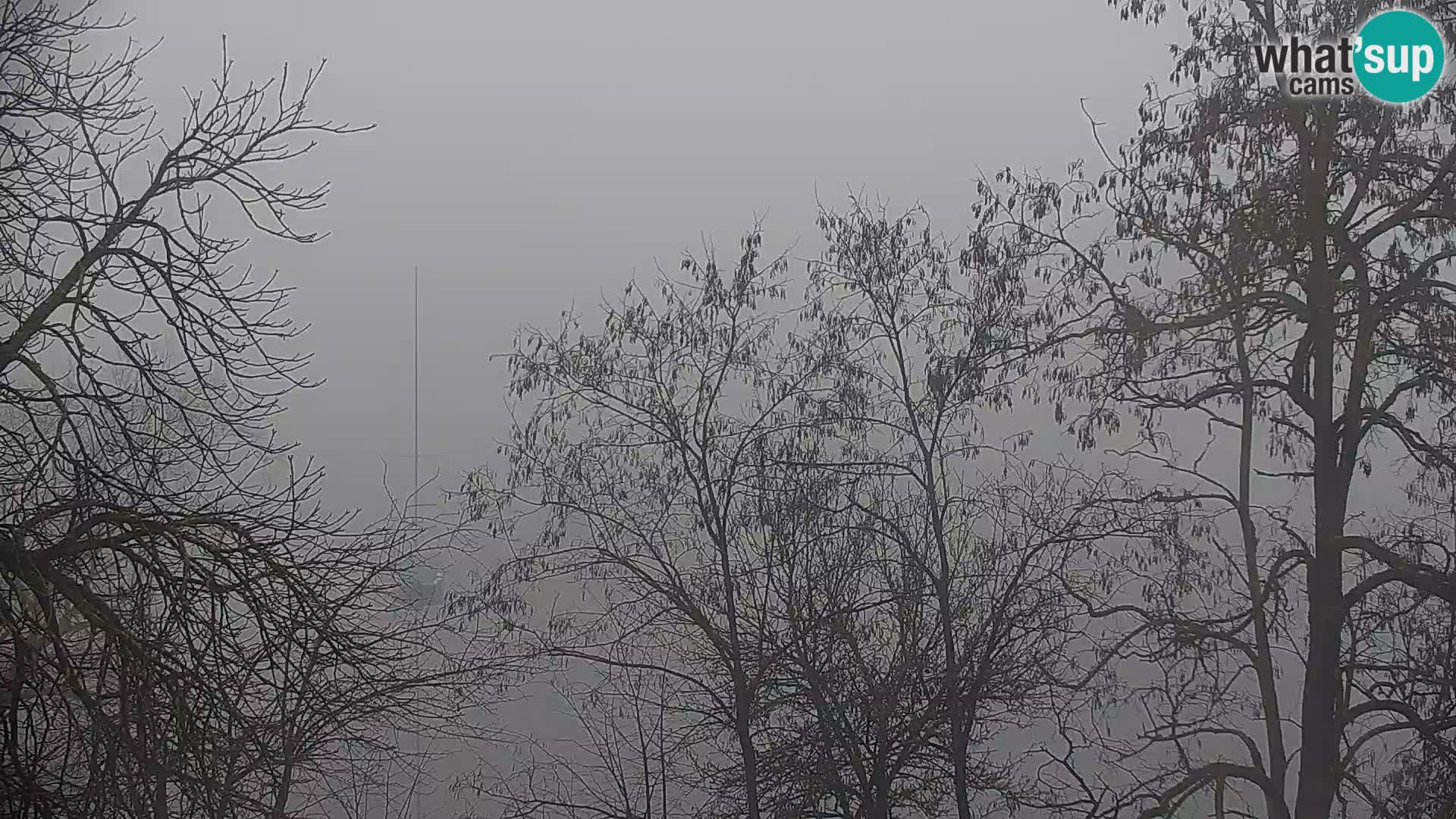 Kamera v živo Kočevsko jezero