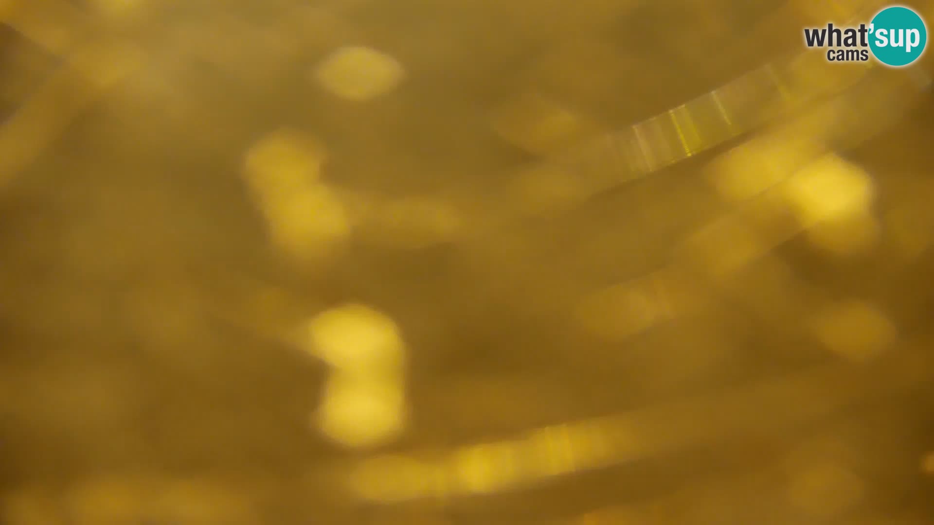 Live Webcam lago di Kočevje – Slovenia