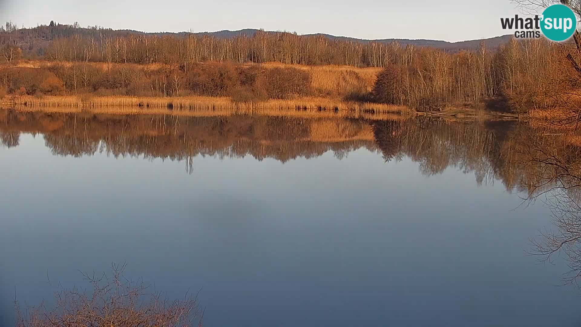 Camera en vivo Lago Kočevje