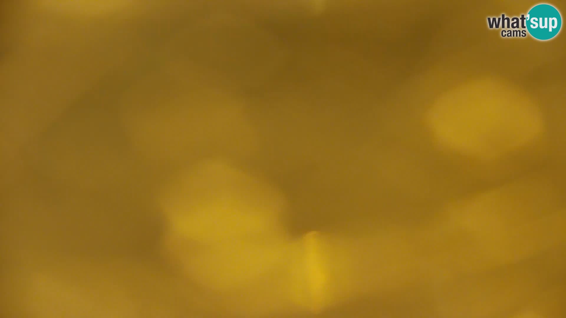 Live Webcam Kočevje lake