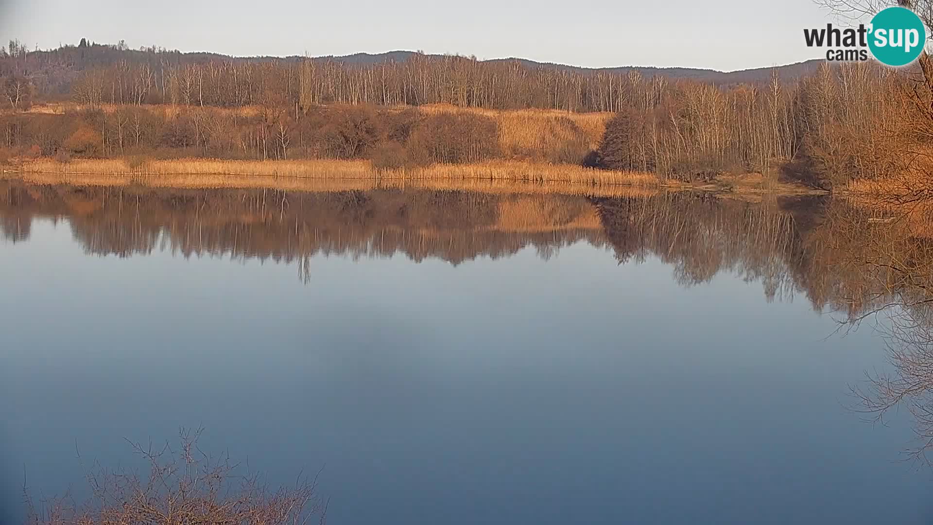Live Webcam lago di Kočevje – Slovenia