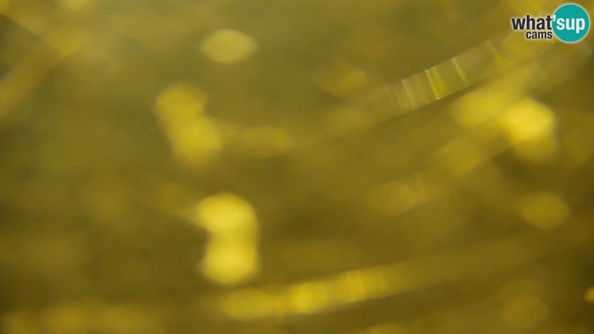 Live Webcam Kočevje-See – Slowenien