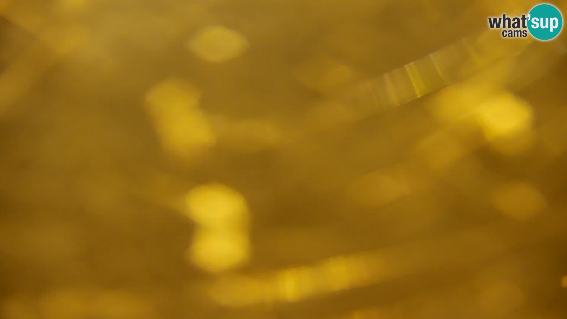 Live Webcam Kočevje lake