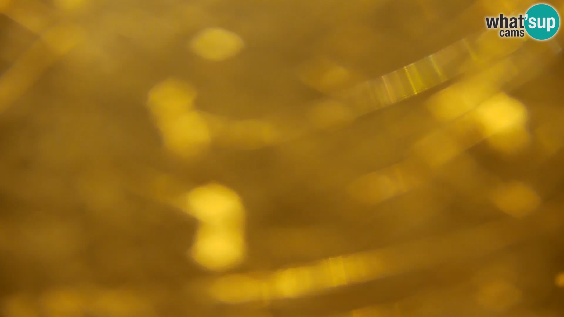 Live Webcam lago di Kočevje – Slovenia