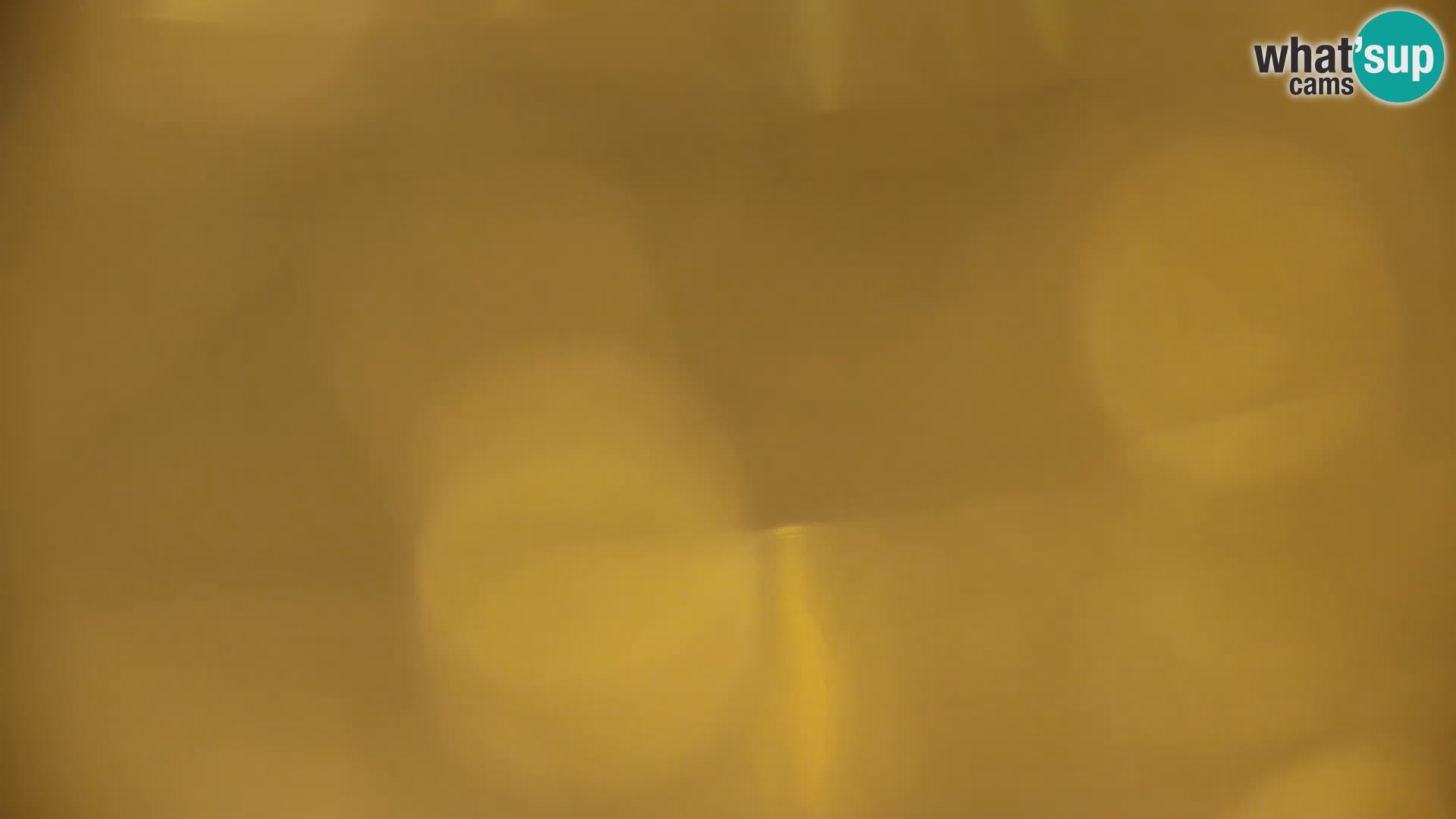 Live Webcam Kočevje lake