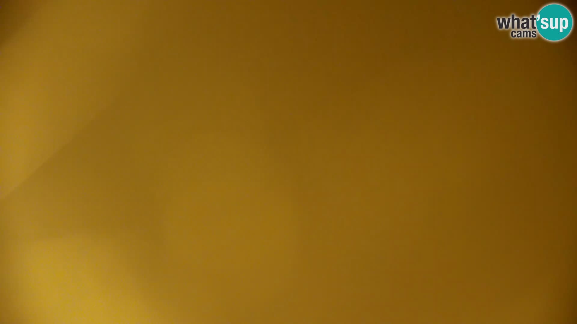 Kamera v živo Kočevsko jezero