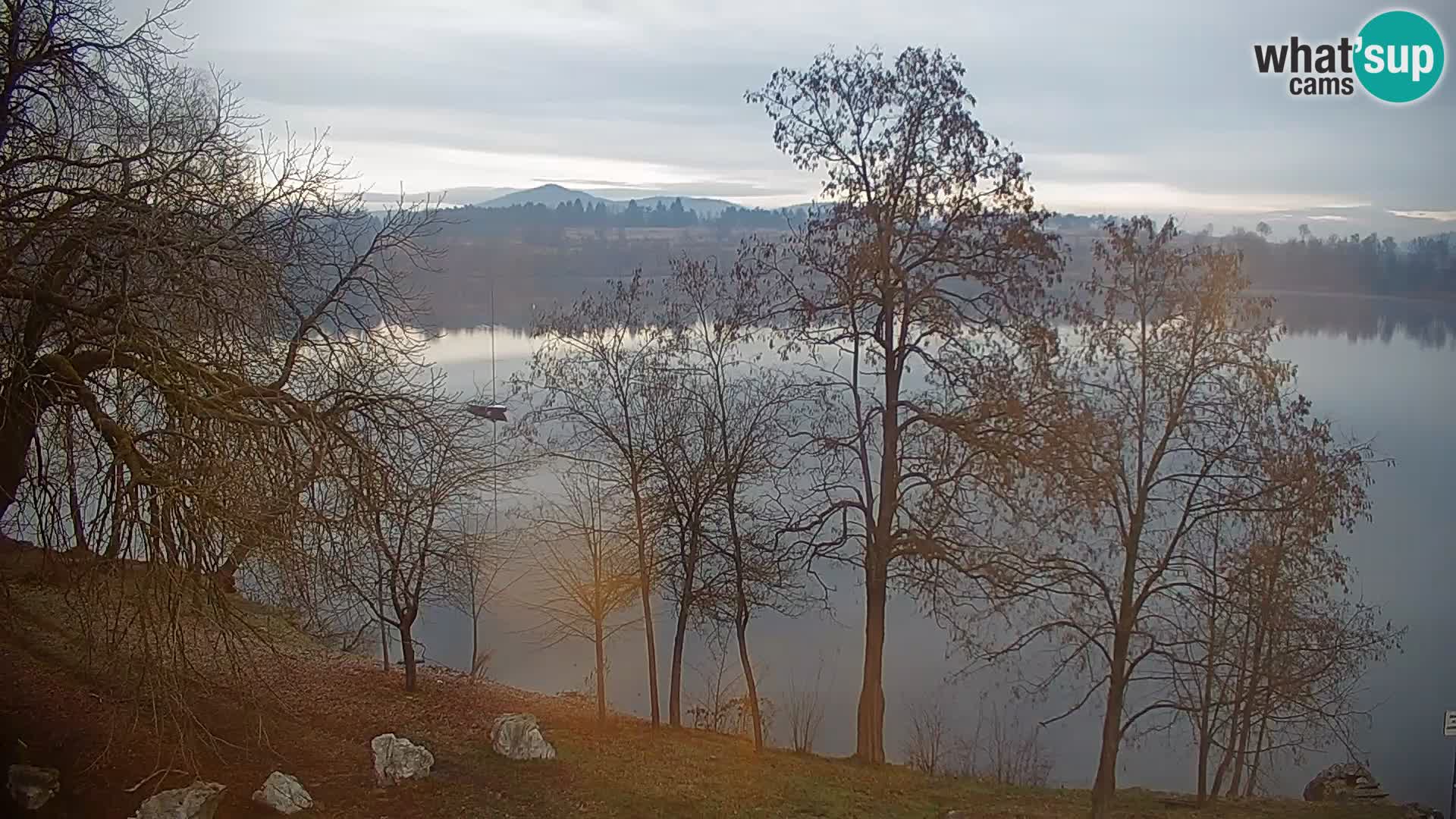 Live Webcam lago di Kočevje – Slovenia