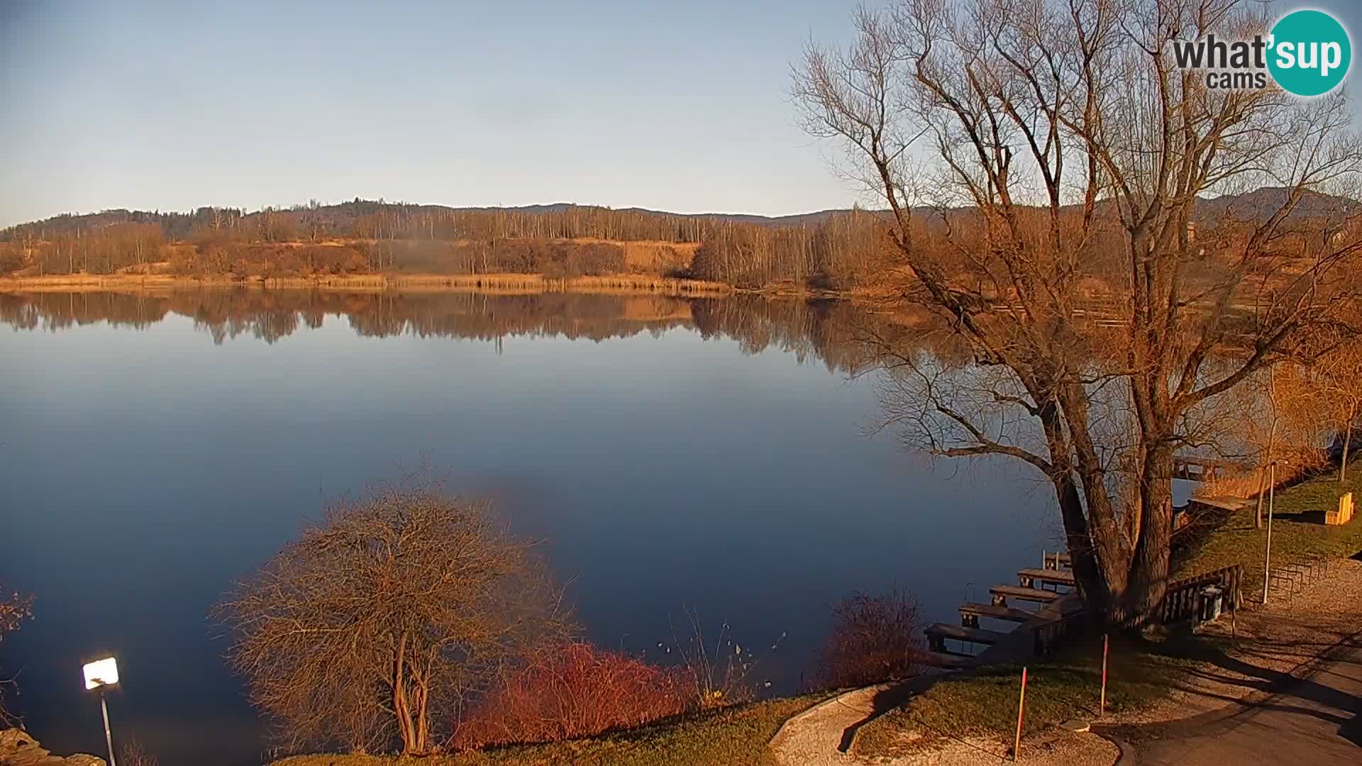 Web kamera Kočevje jezero – Slovenija