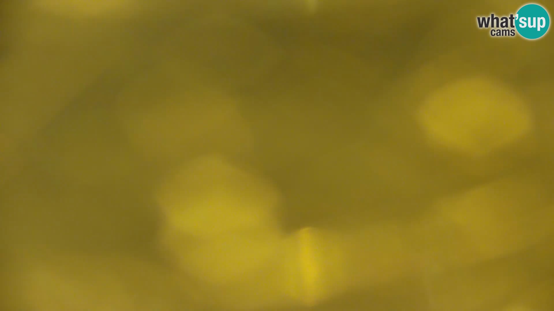 Livecam Lac Kočevje