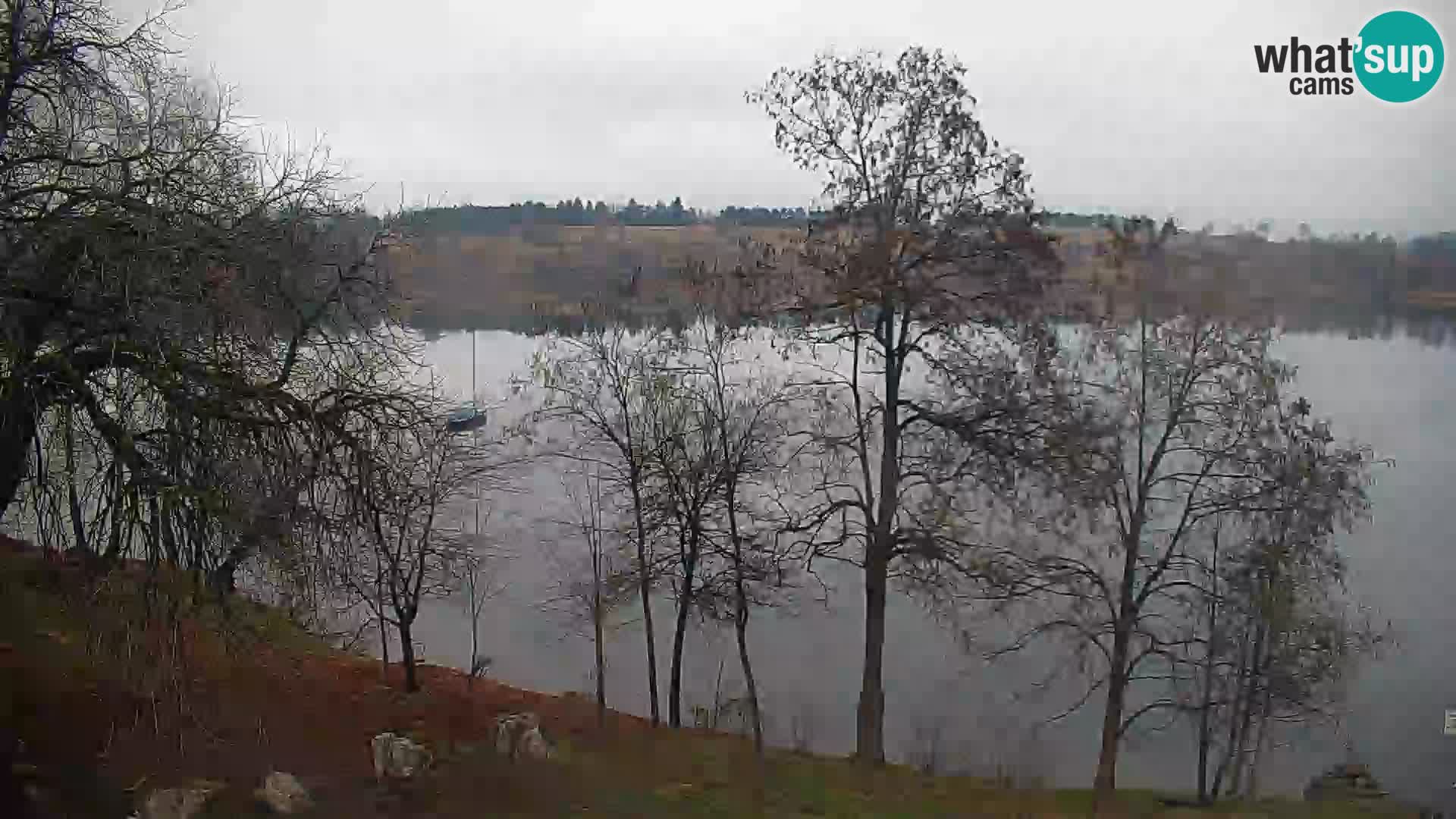 Livecam Lac Kočevje