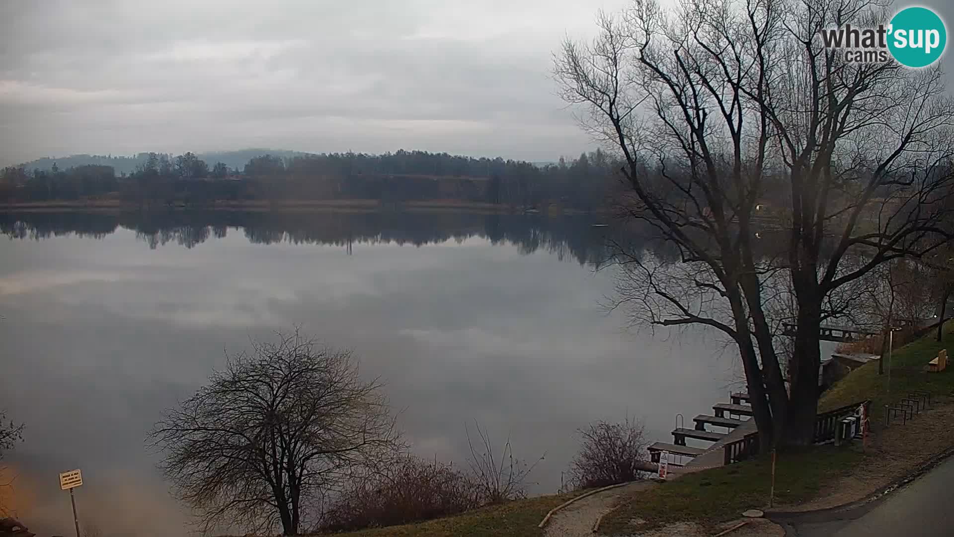 Web kamera Kočevje jezero – Slovenija