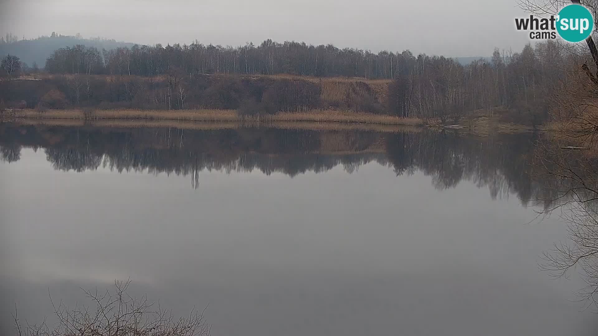 Live Webcam lago di Kočevje – Slovenia