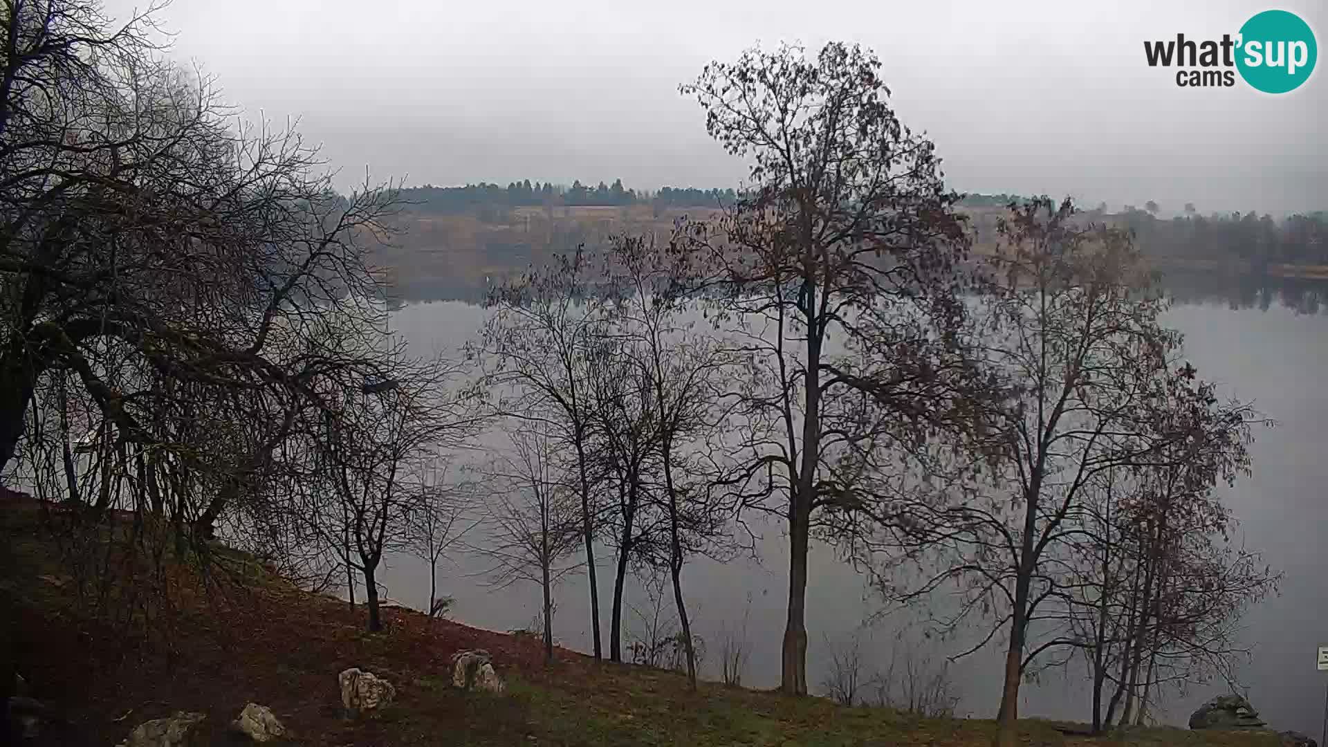 Livecam Lac Kočevje