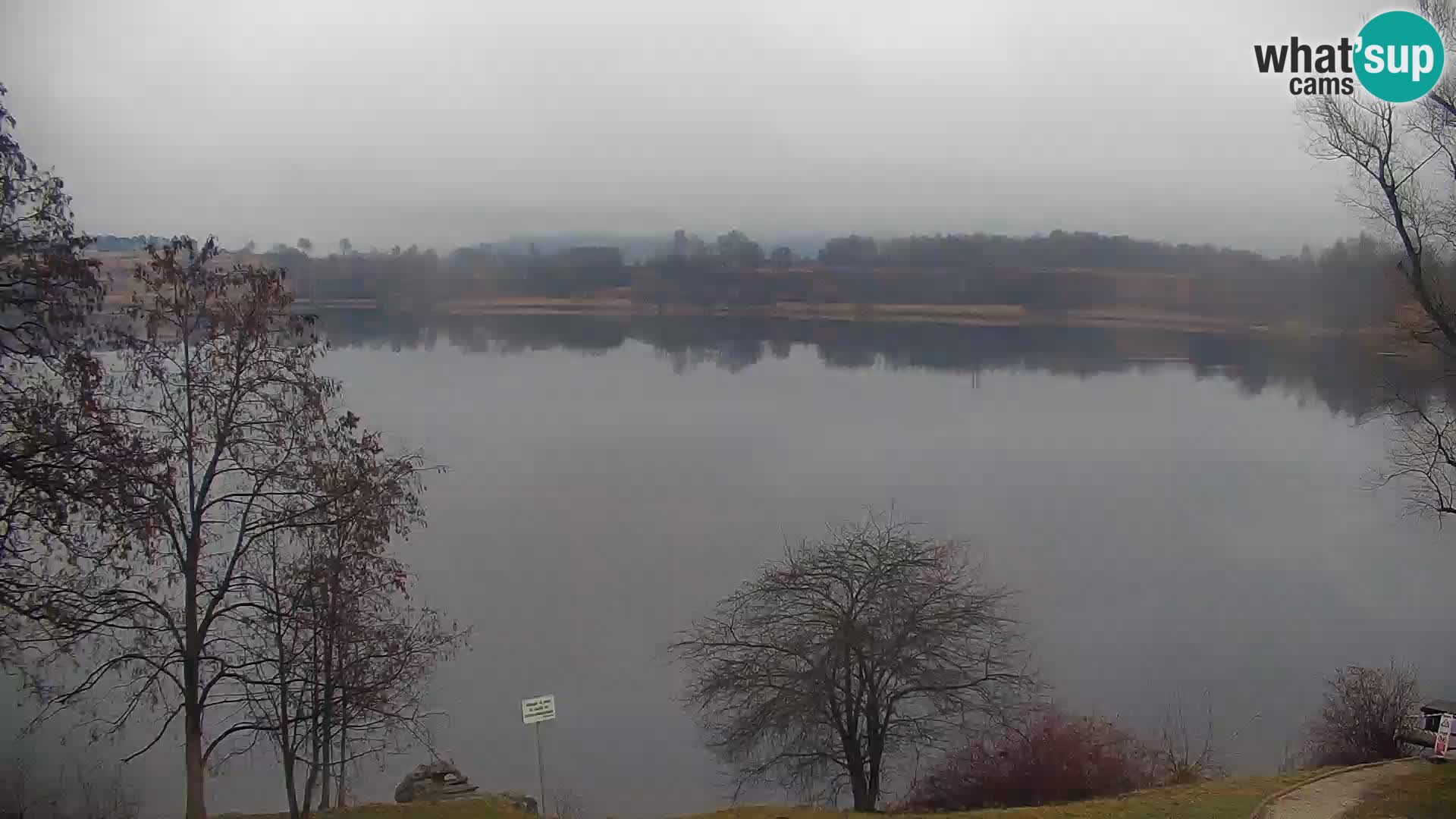Kamera v živo Kočevsko jezero