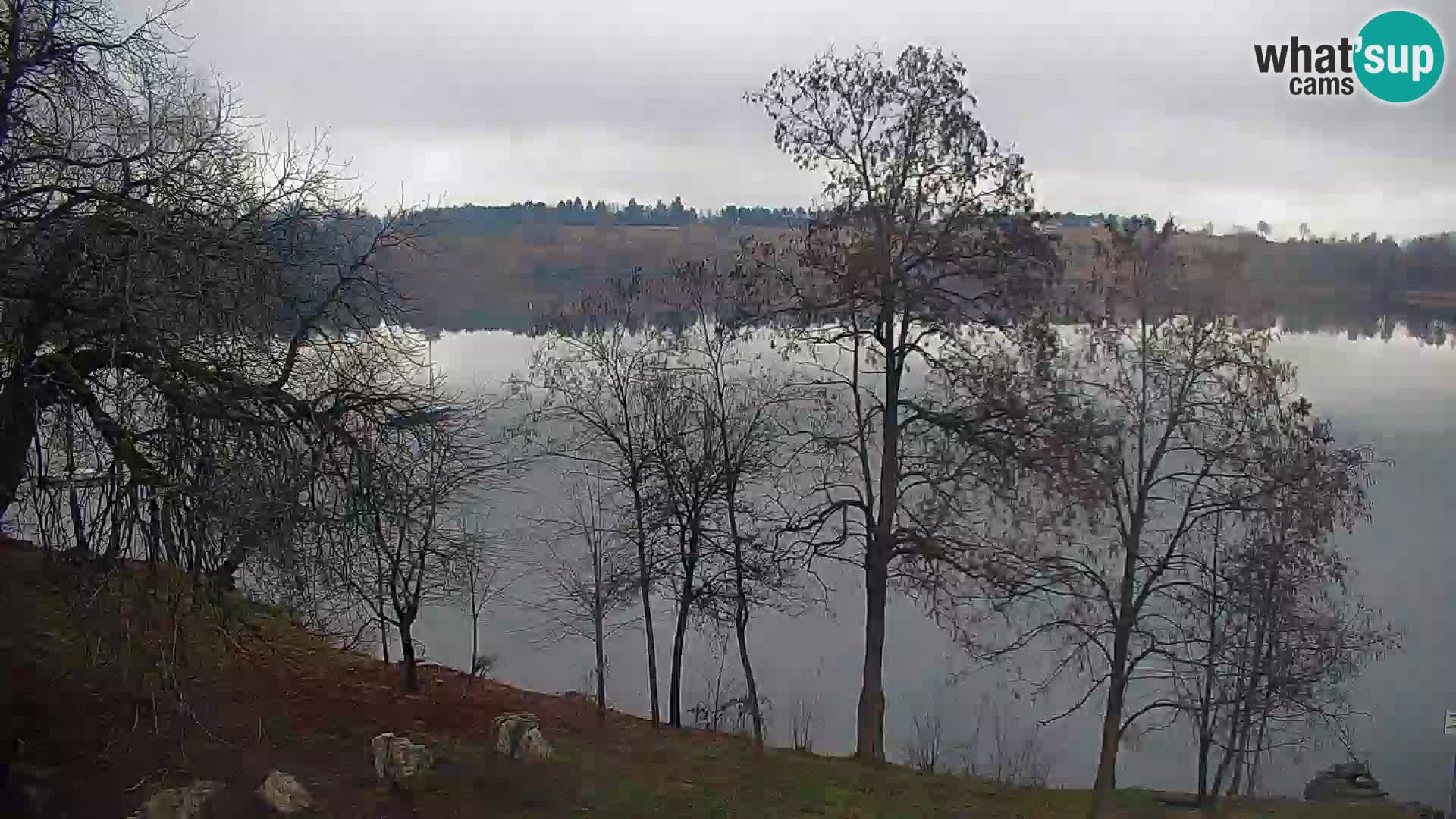 Live Webcam Kočevje-See – Slowenien