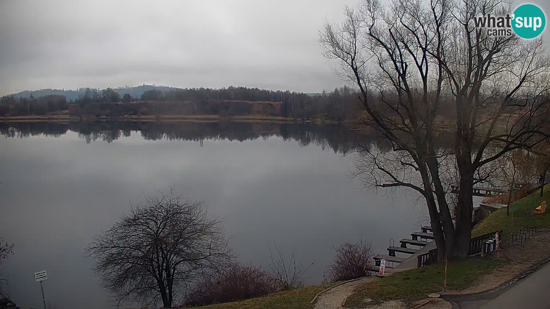 Live Webcam Kočevje lake