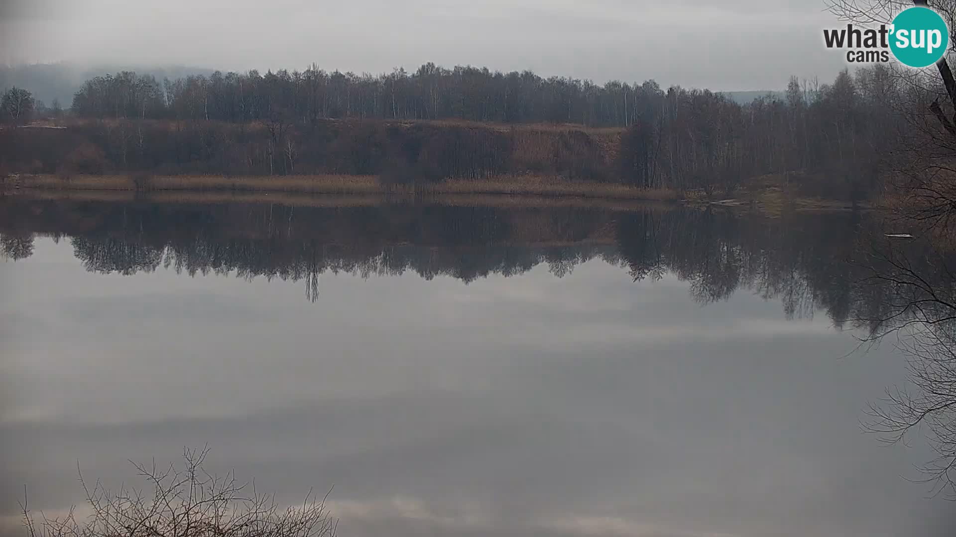 Camera en vivo Lago Kočevje