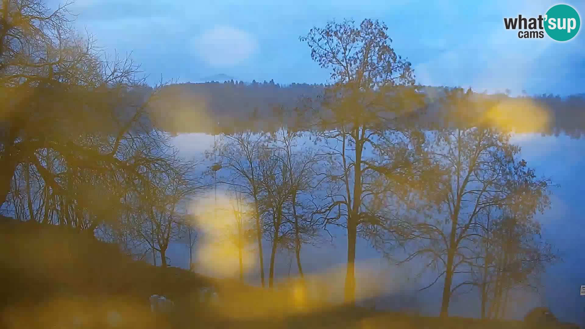 Live Webcam lago di Kočevje – Slovenia
