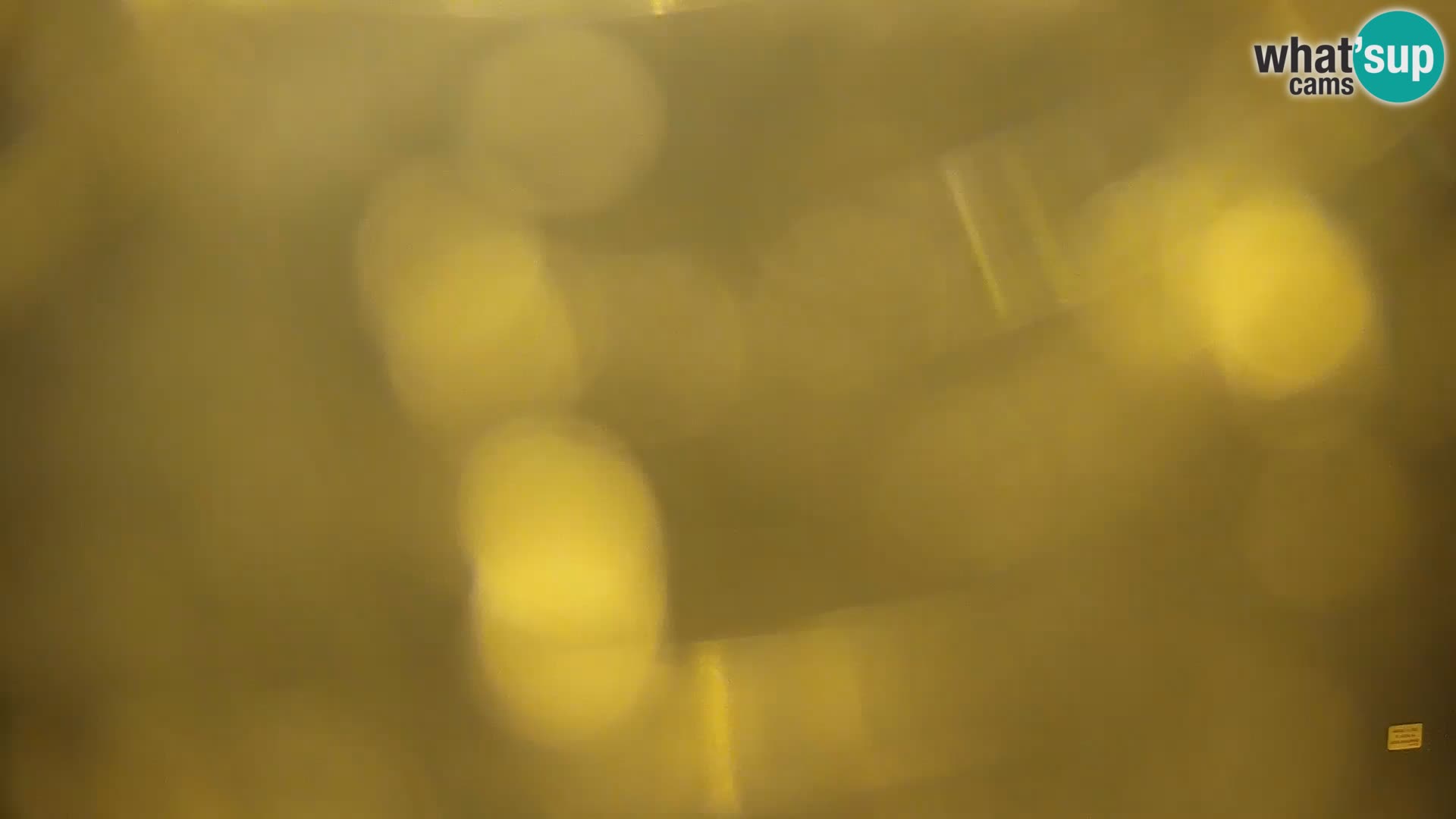 Live Webcam Kočevje lake