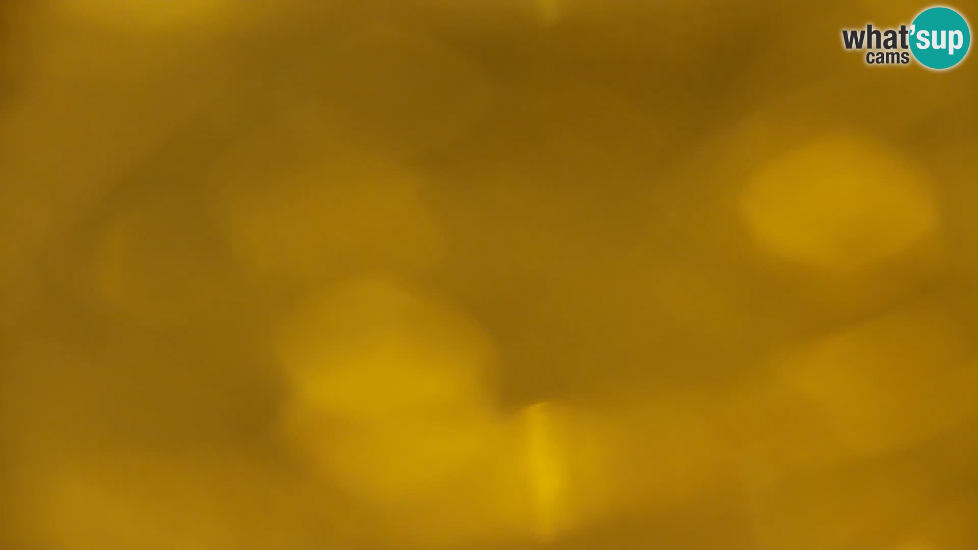 Live Webcam lago di Kočevje – Slovenia