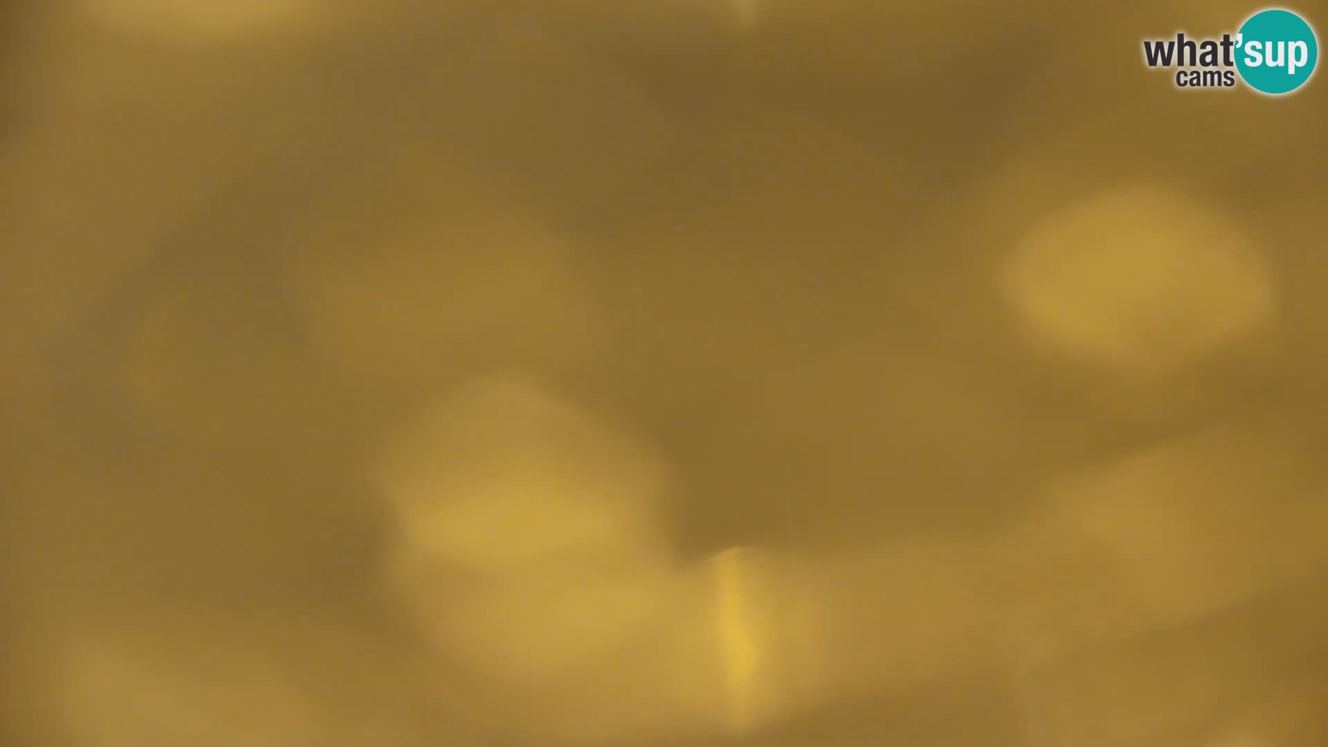 Camera en vivo Lago Kočevje