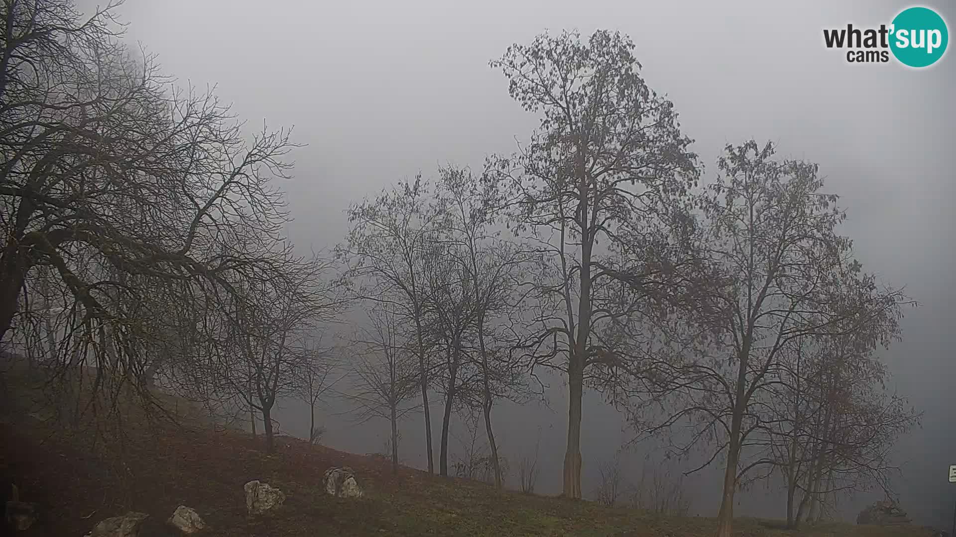 Live Webcam Kočevje-See – Slowenien